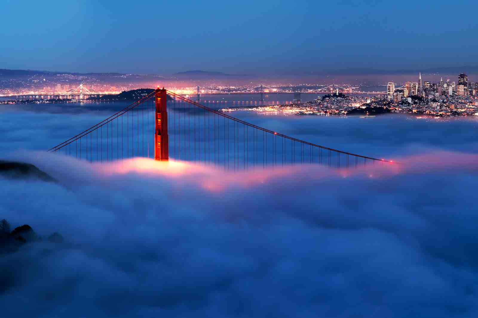 Golden Gate Bridge Foggy Night Wall Art