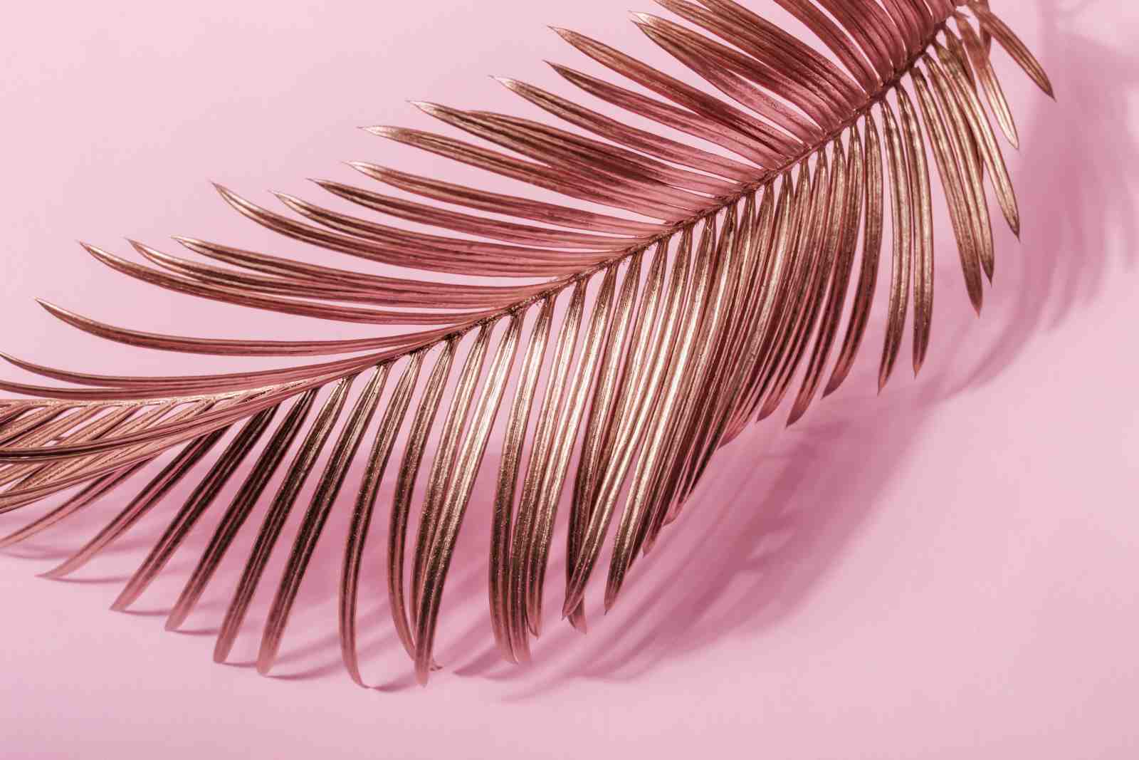 Rose Gold Palm Leaf Wall Art Wall Art