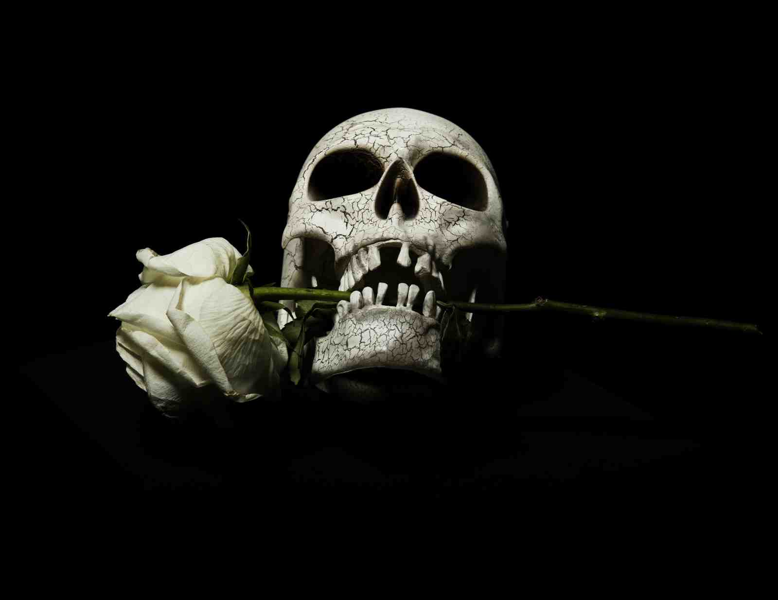 Gothic Skull & Rose Wall Art | Dark Art Decor