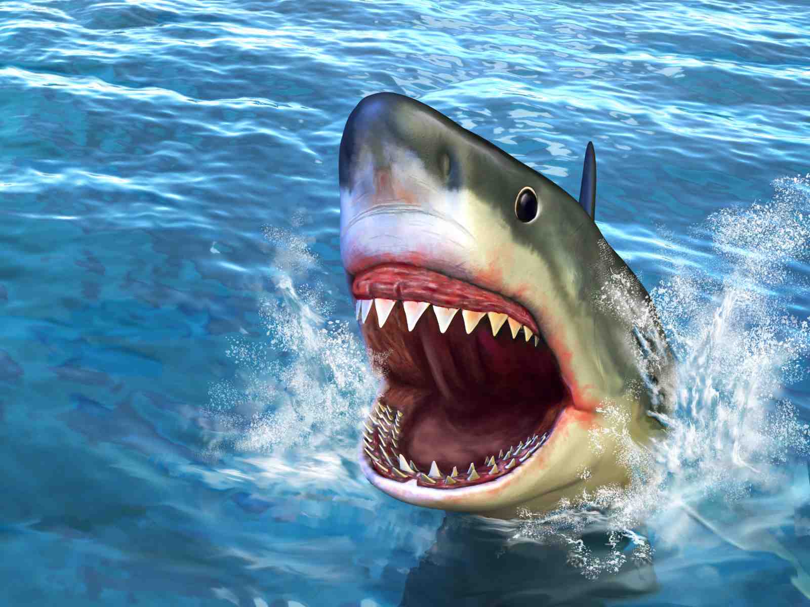 Fierce Shark Attack Ocean Wall Art