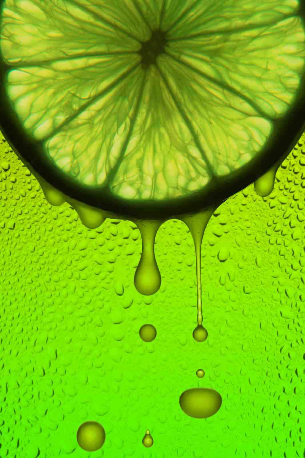 Vibrant Lime Slice Drip Art Wall Art