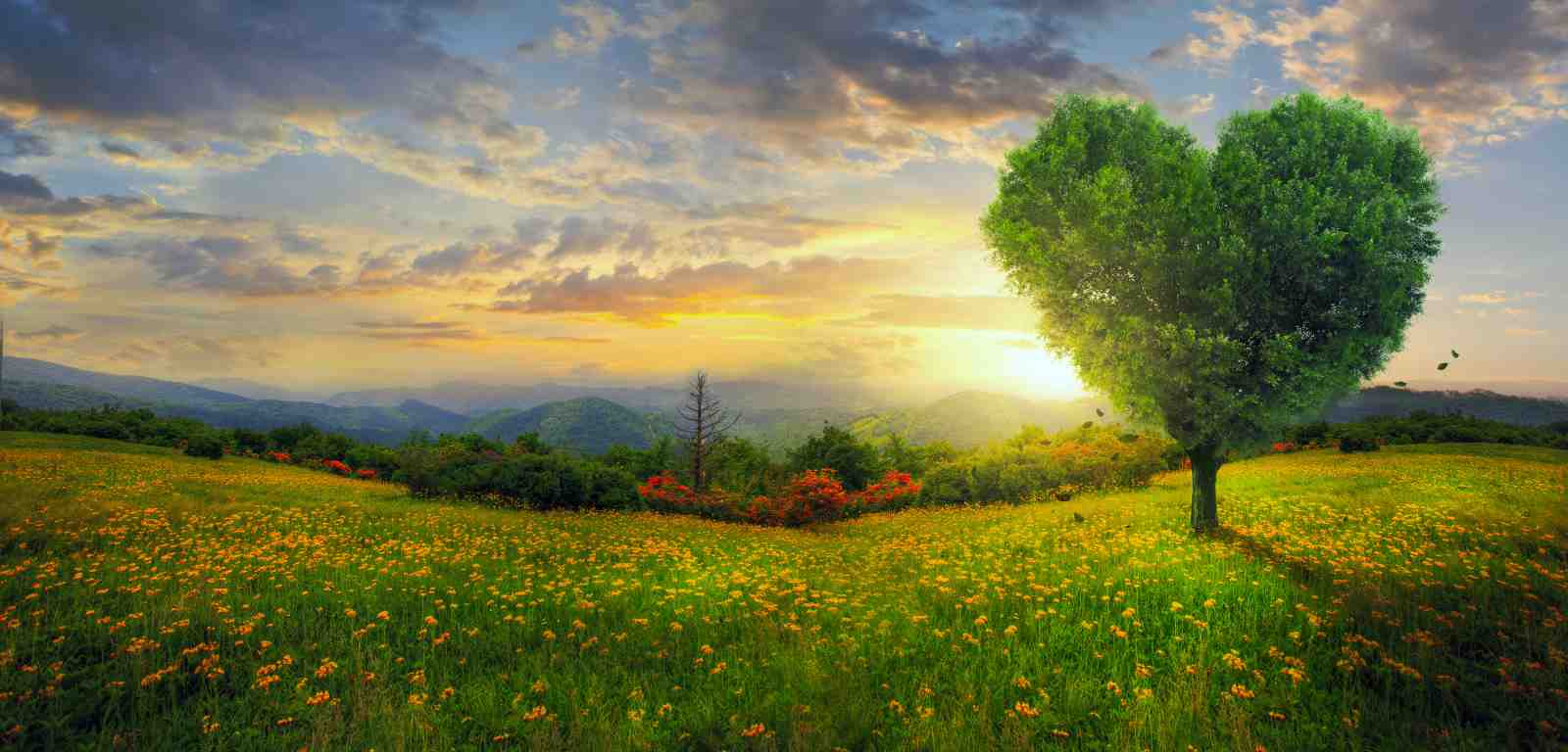 Heart Tree Nature Landscape Wall Art