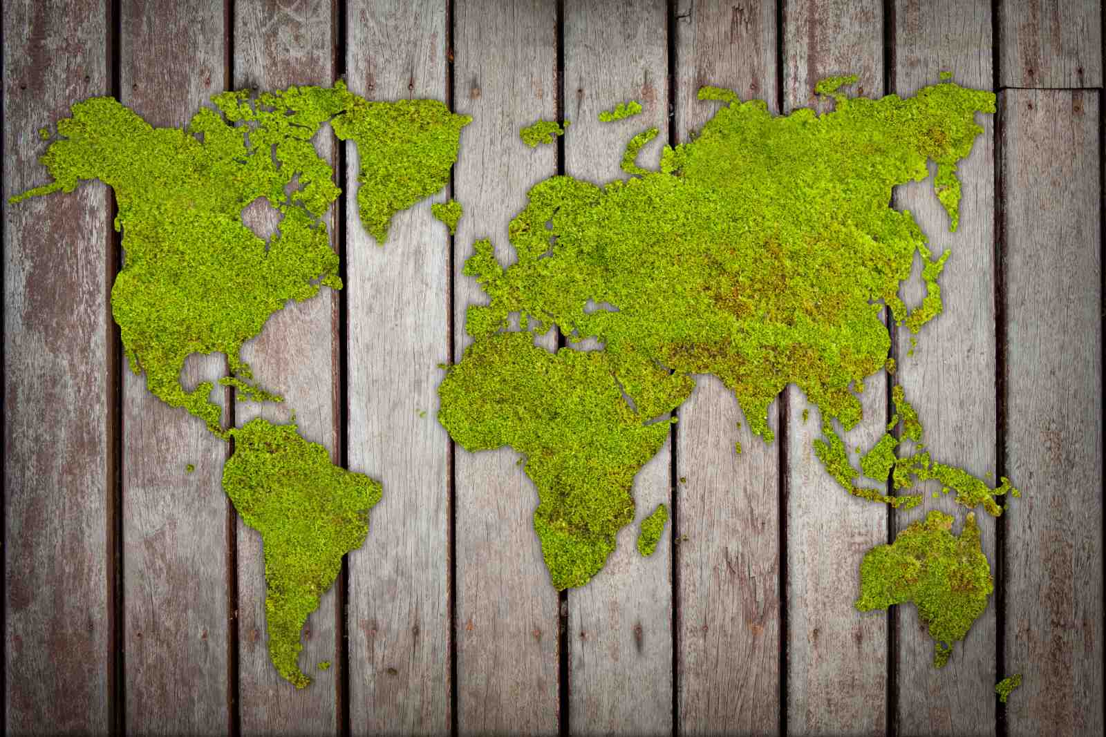 Moss World Map Textured Wood Wall Art