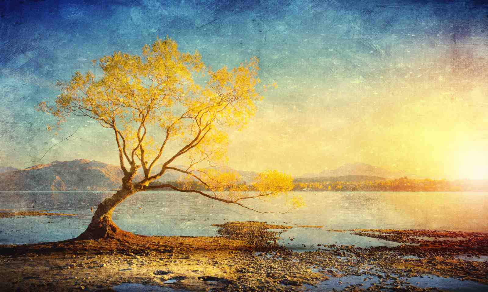 Golden Willow Lakeside Serenity Wall Art
