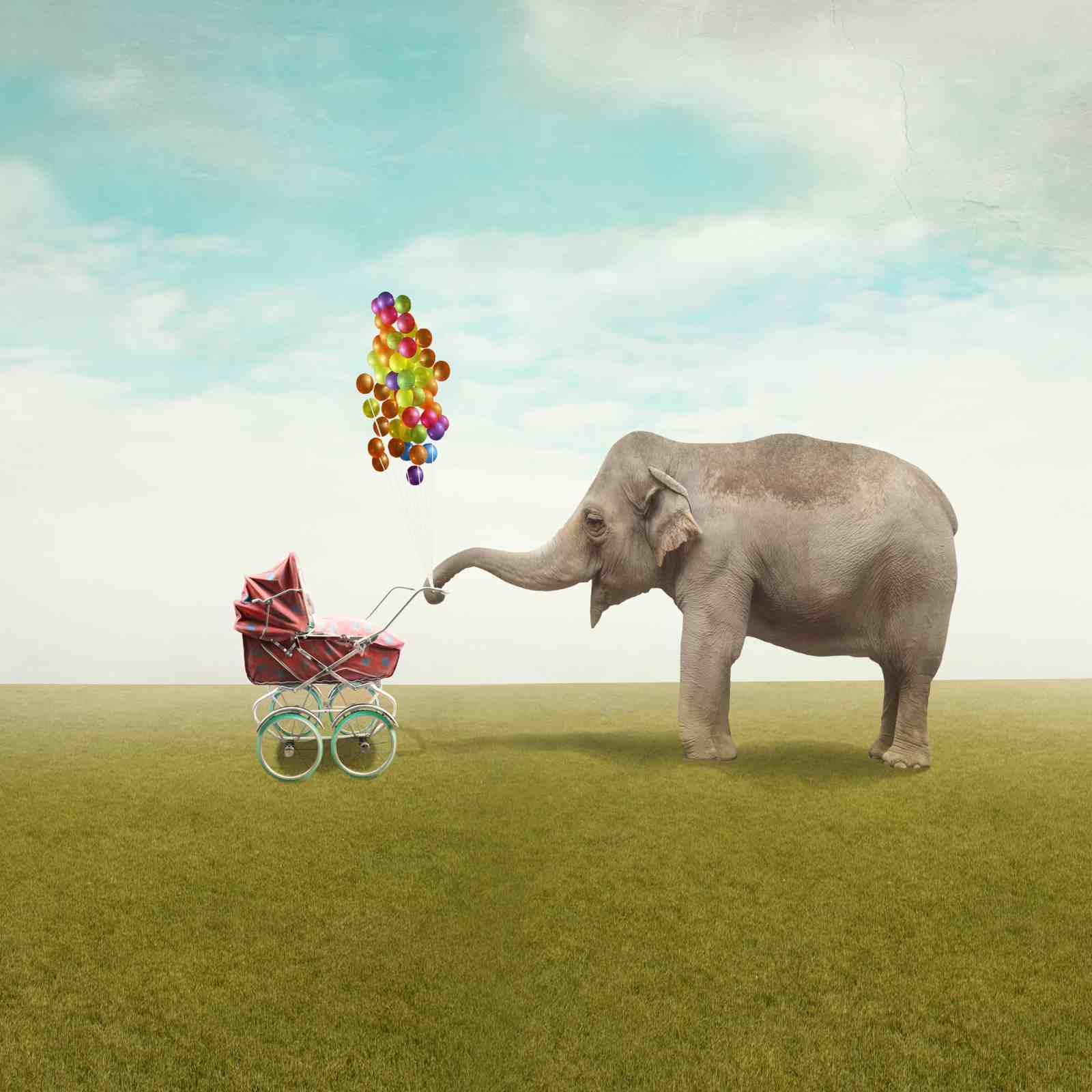 Whimsical Elephant & Baby Carriage Wall Art