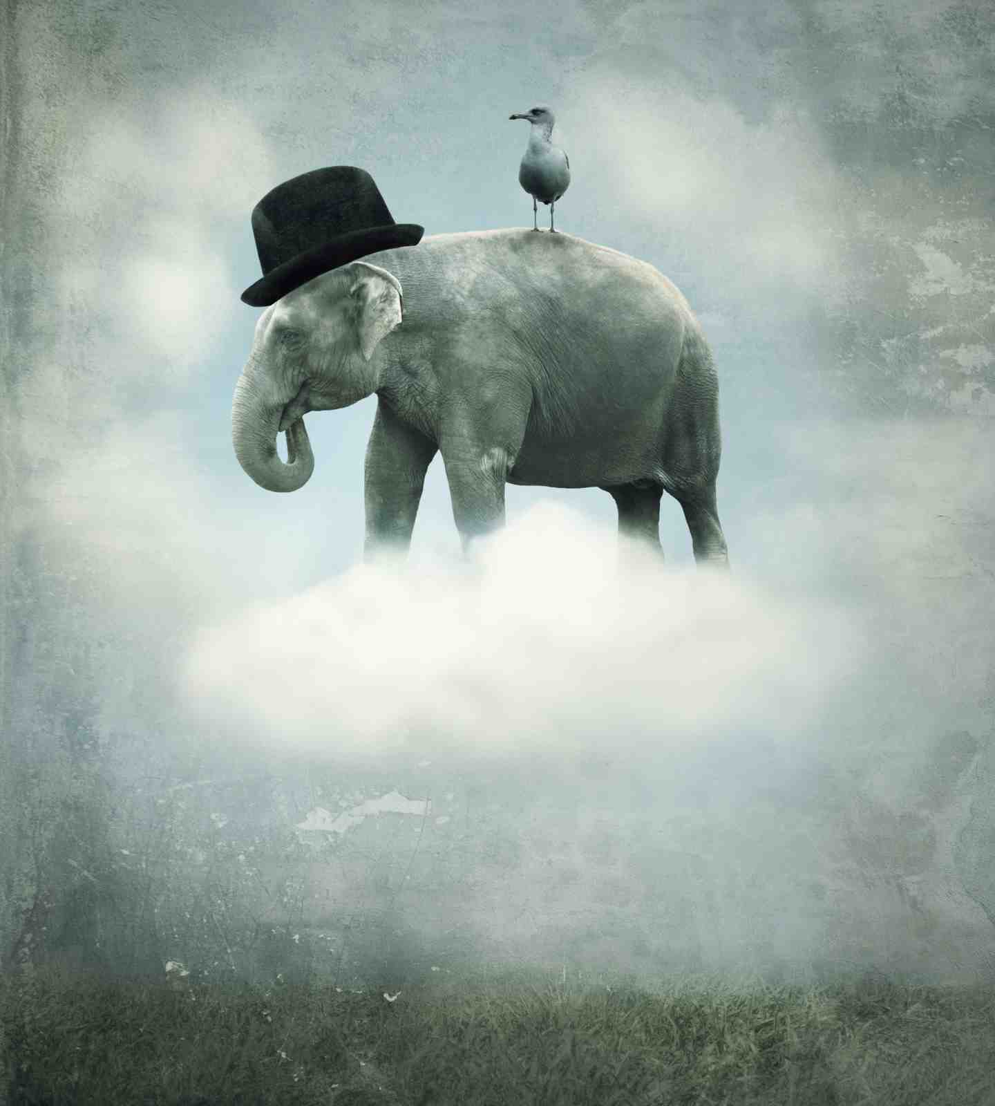 Whimsical Elephant Cloud Dream Wall Art