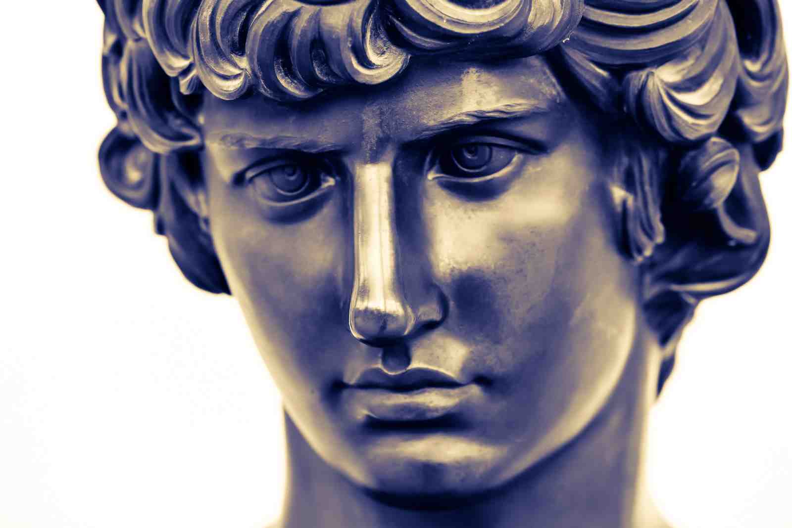 Renaissance David Bust Wall Art Wall Art