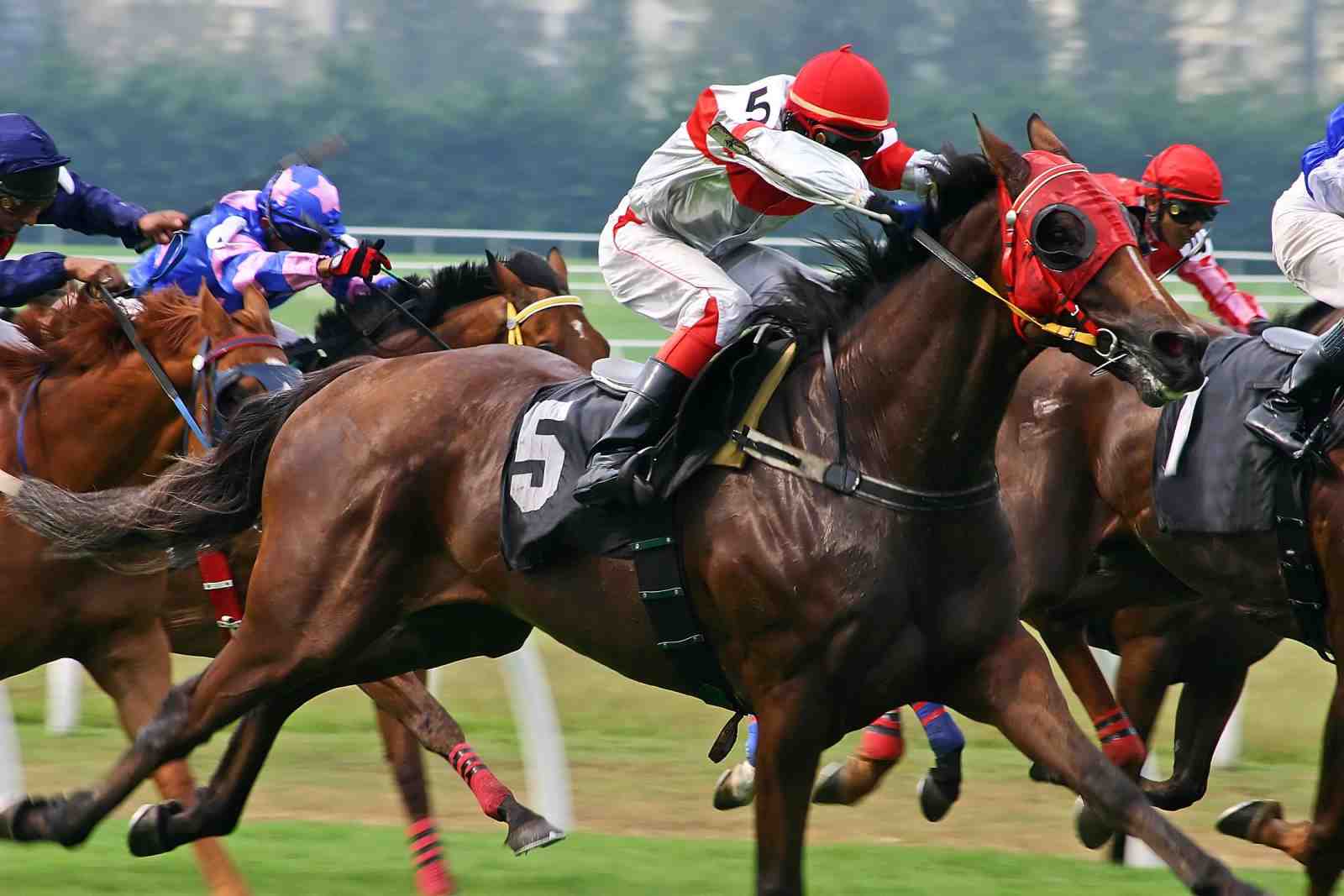 Dynamic Horse Race Action Wall Art