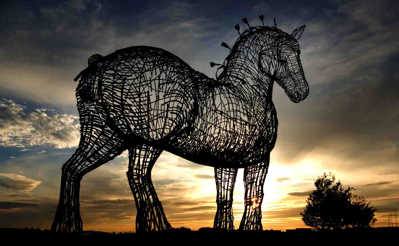 Majestic Wire Horse Silhouette Wall Art
