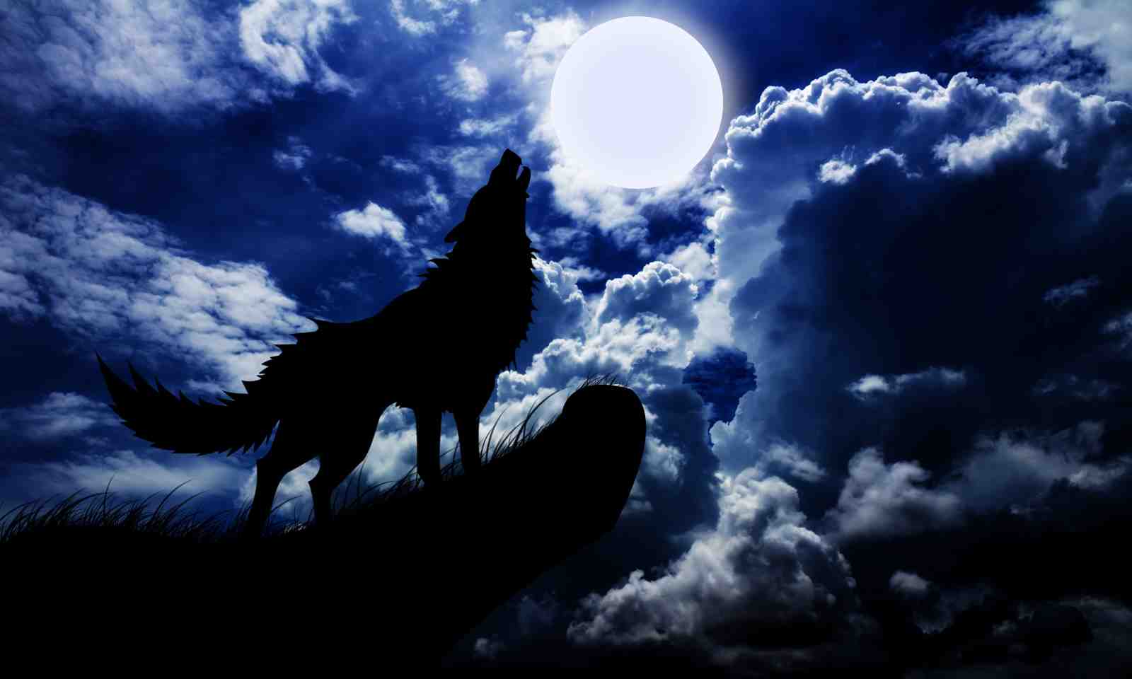 Majestic Wolf Howling at Moon Wall Art