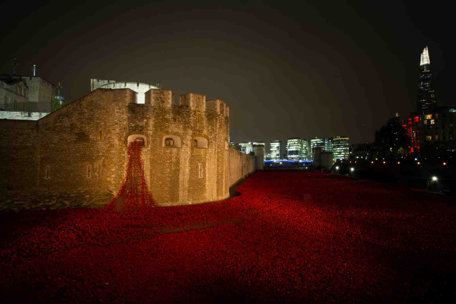 Tower of London Poppies Wall Art