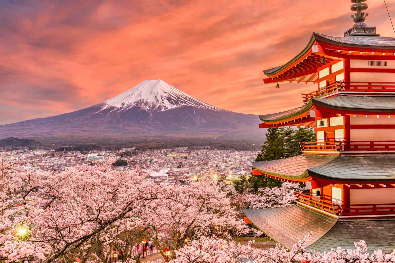 Mount Fuji Cherry Blossom Pagoda Wall Art