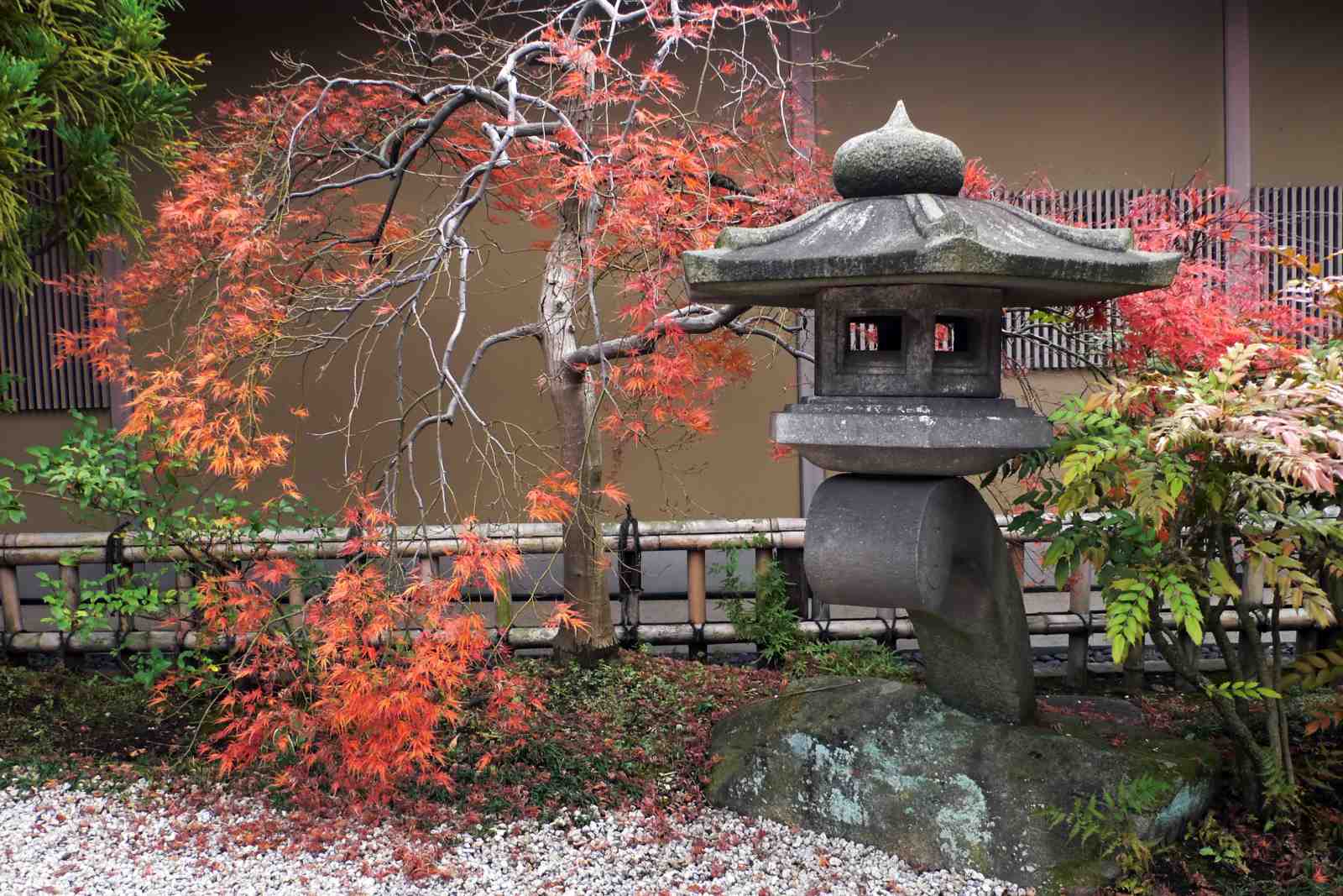 Serene Japanese Garden Maple Autumn Wall Art