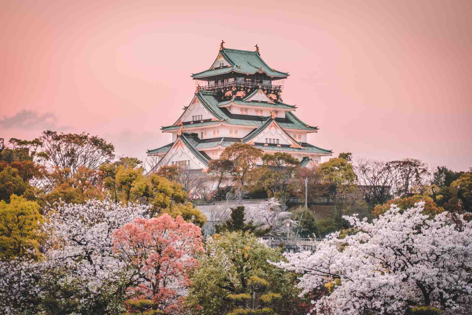Japanese Castle Cherry Blossom Wall Art