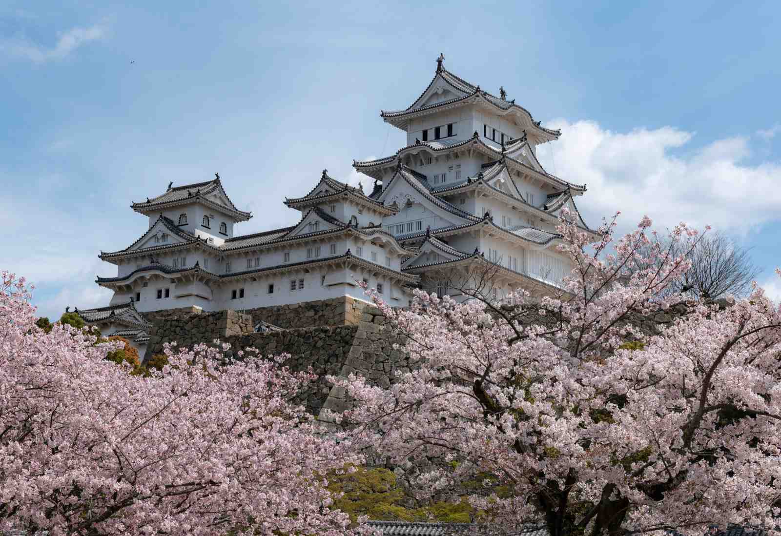 Himeji Castle Cherry Blossom Wall Art