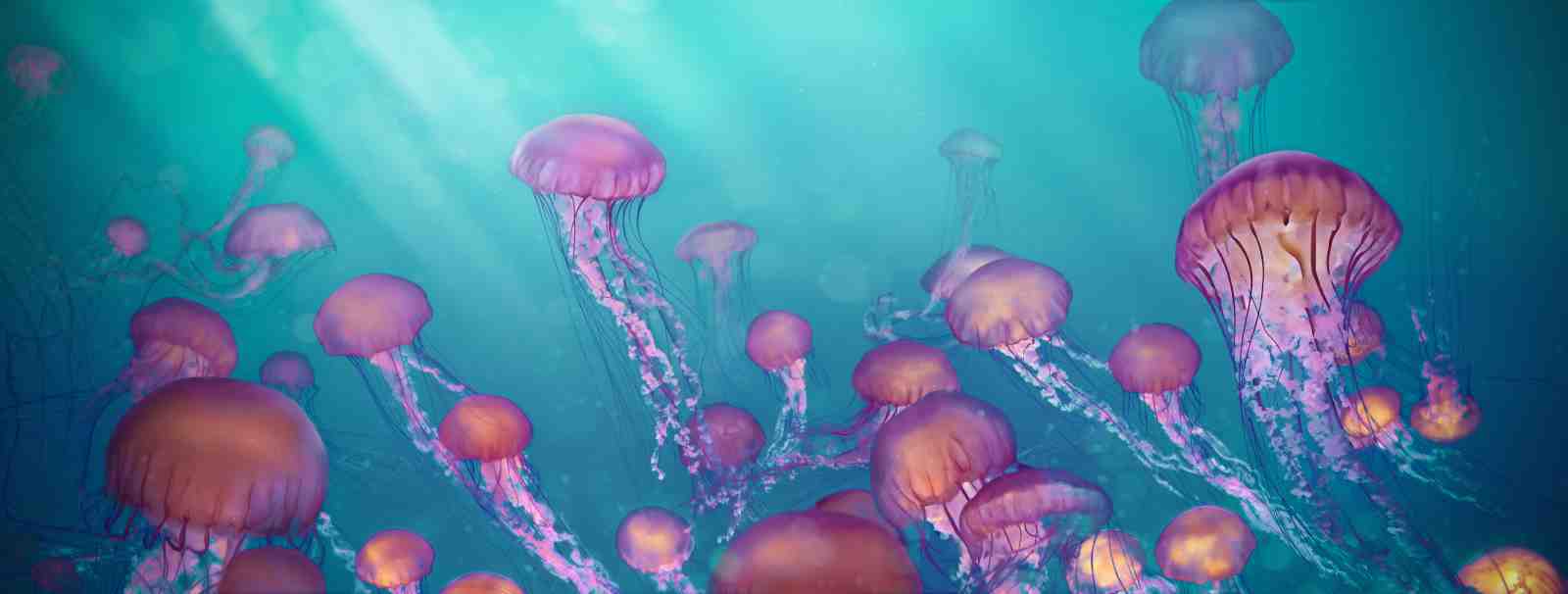 Mystic Jellyfish Ocean Dream Wall Art