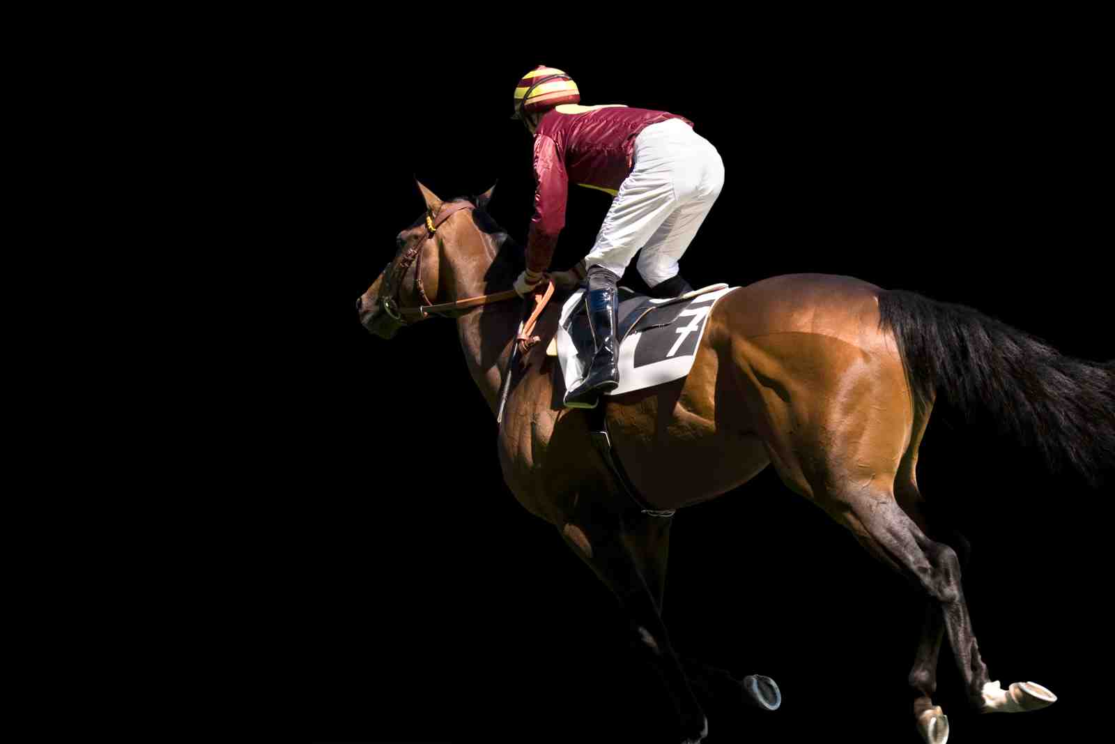 Majestic Horse Racing Jockey Wall Art
