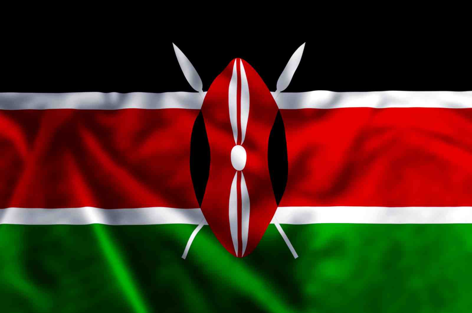 Kenya Flag & Maasai Shield Wall Art