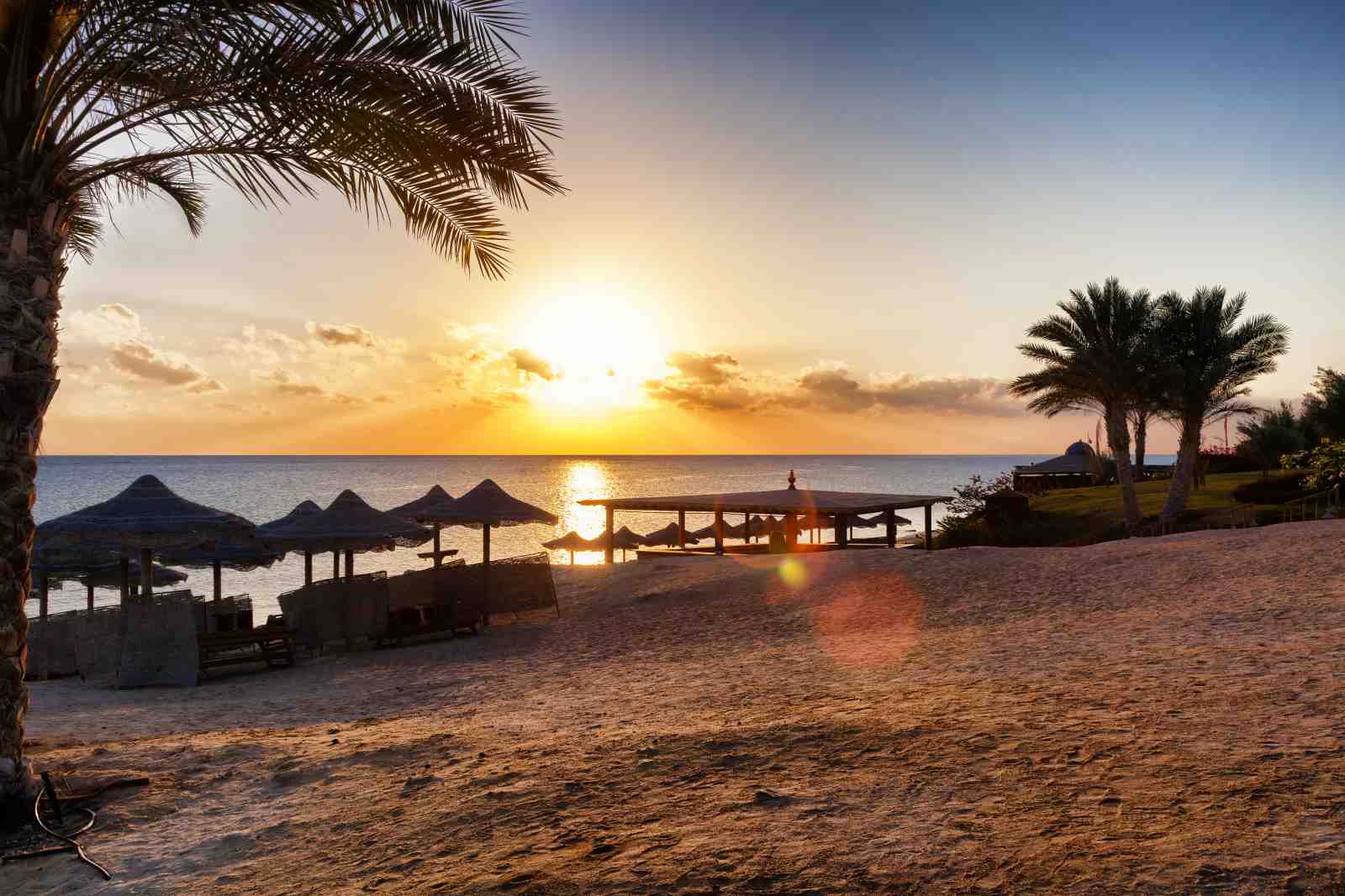 Serene Beach Sunset Palm Trees Wall Art