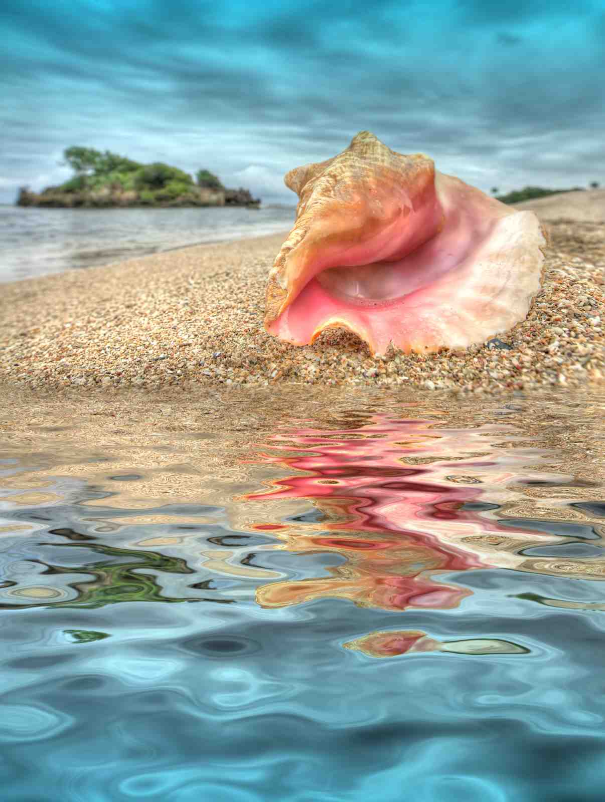 Serene Conch Shell Beach Landscape Wall Art