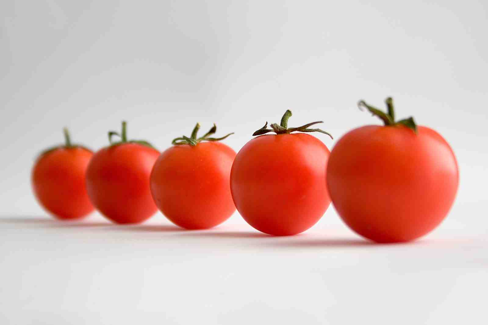 Vibrant Tomatoes Still Life Wall Art