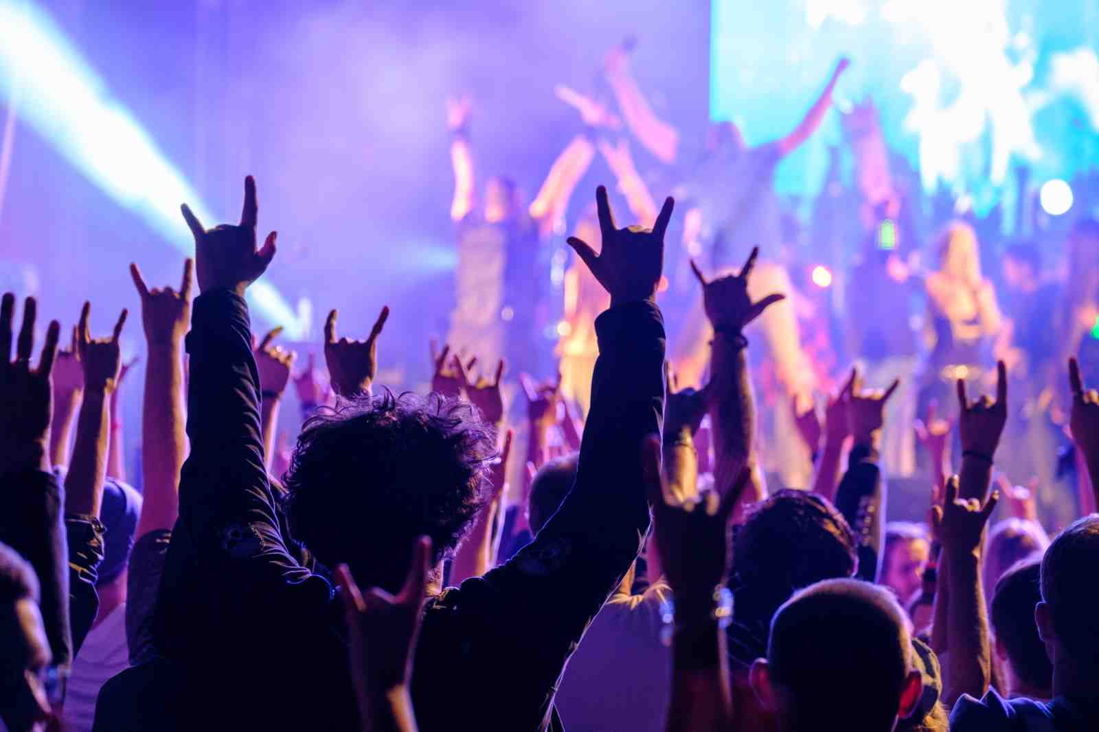 Electric Crowd Rock Concert Wall Art