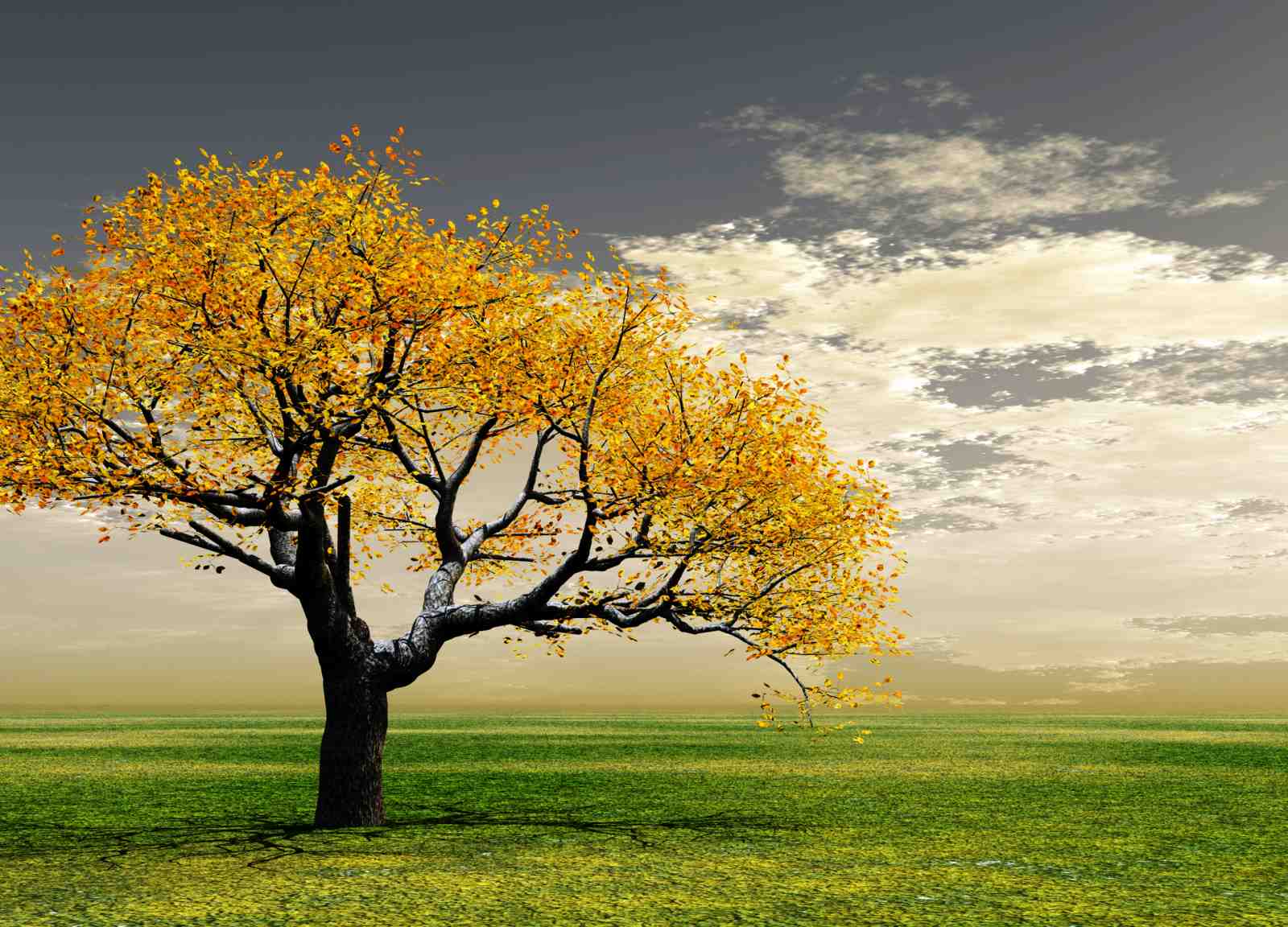 Vibrant Autumn Tree Wall Art
