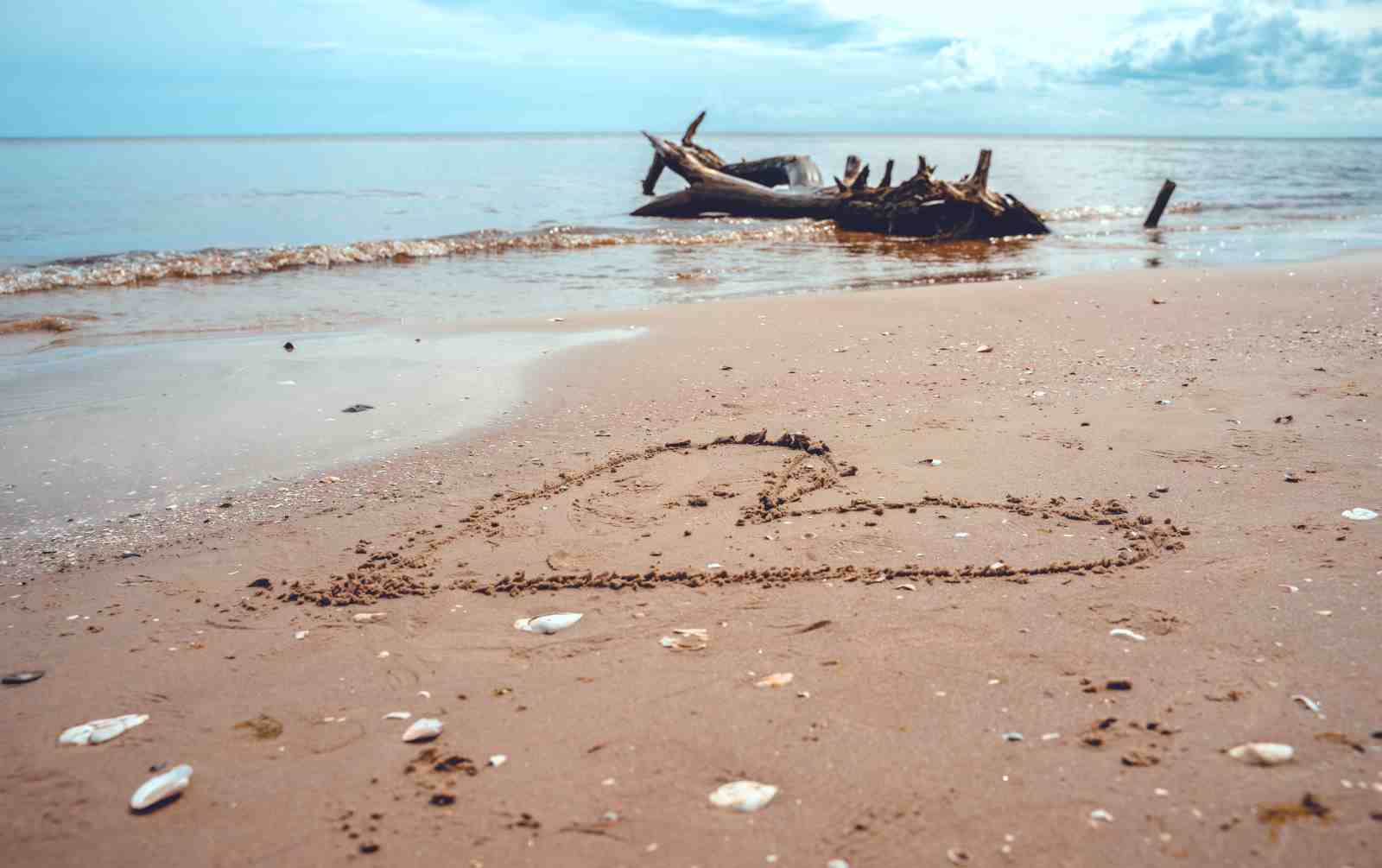 Heart on Sand Beach & Driftwood Wall Art