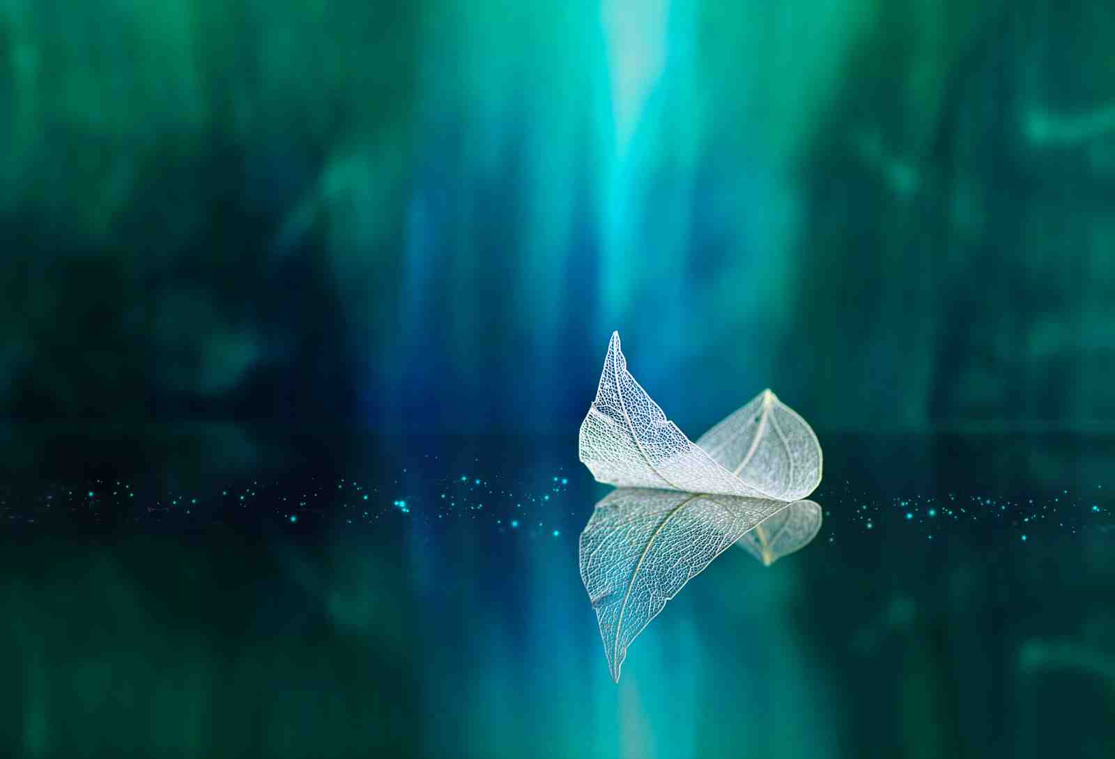 Ethereal Skeleton Leaf Reflection Wall Art