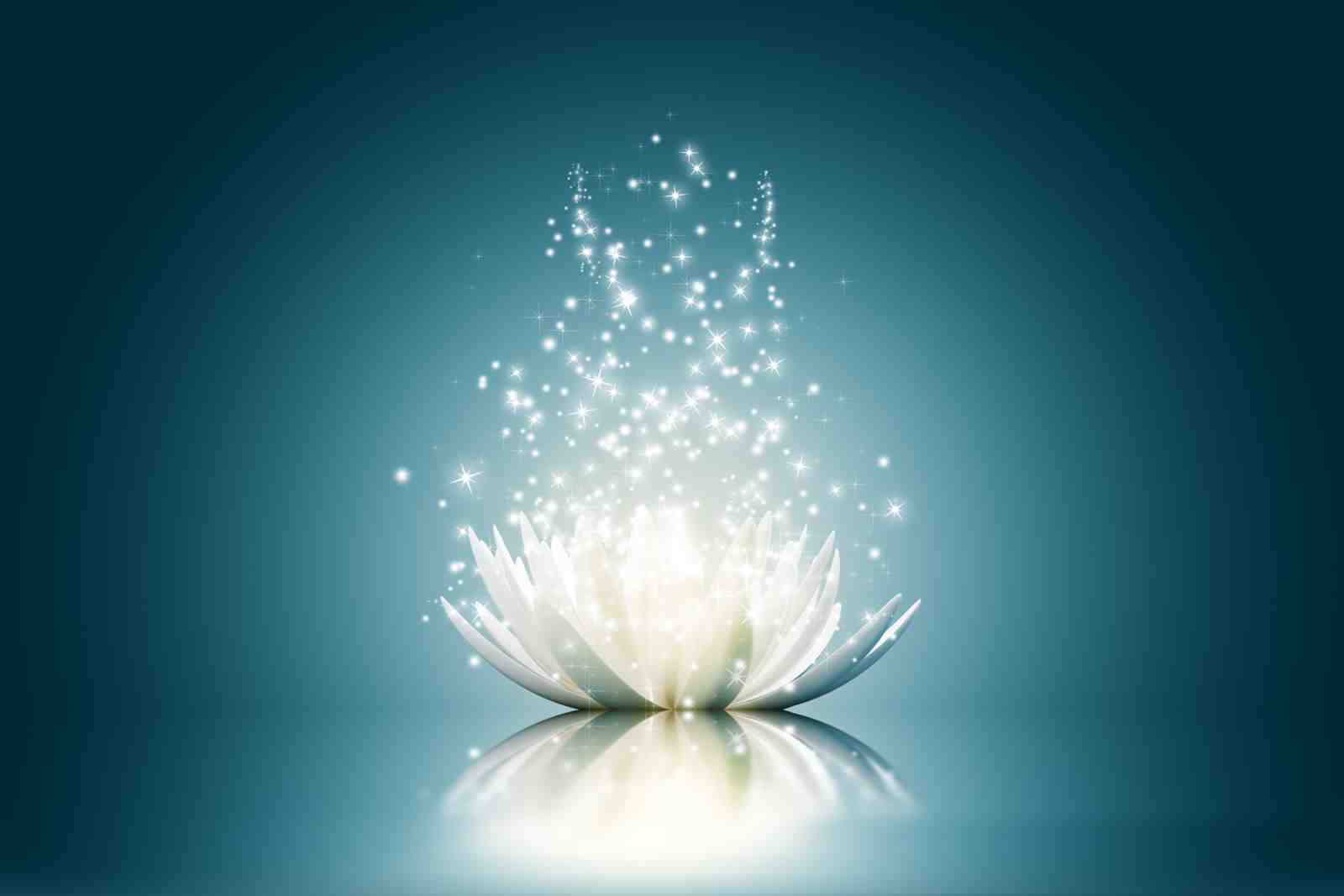 Serene White Lotus Sparkle Wall Art