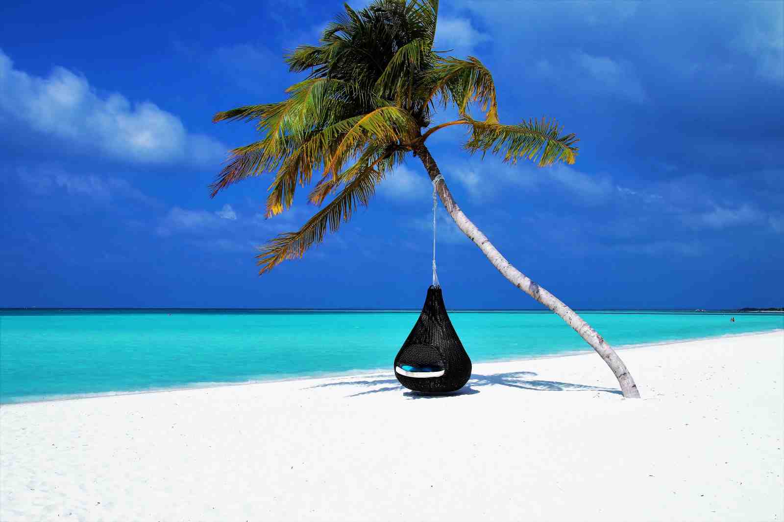 Tranquil Beach Hammock Tropical Paradise Wall Art