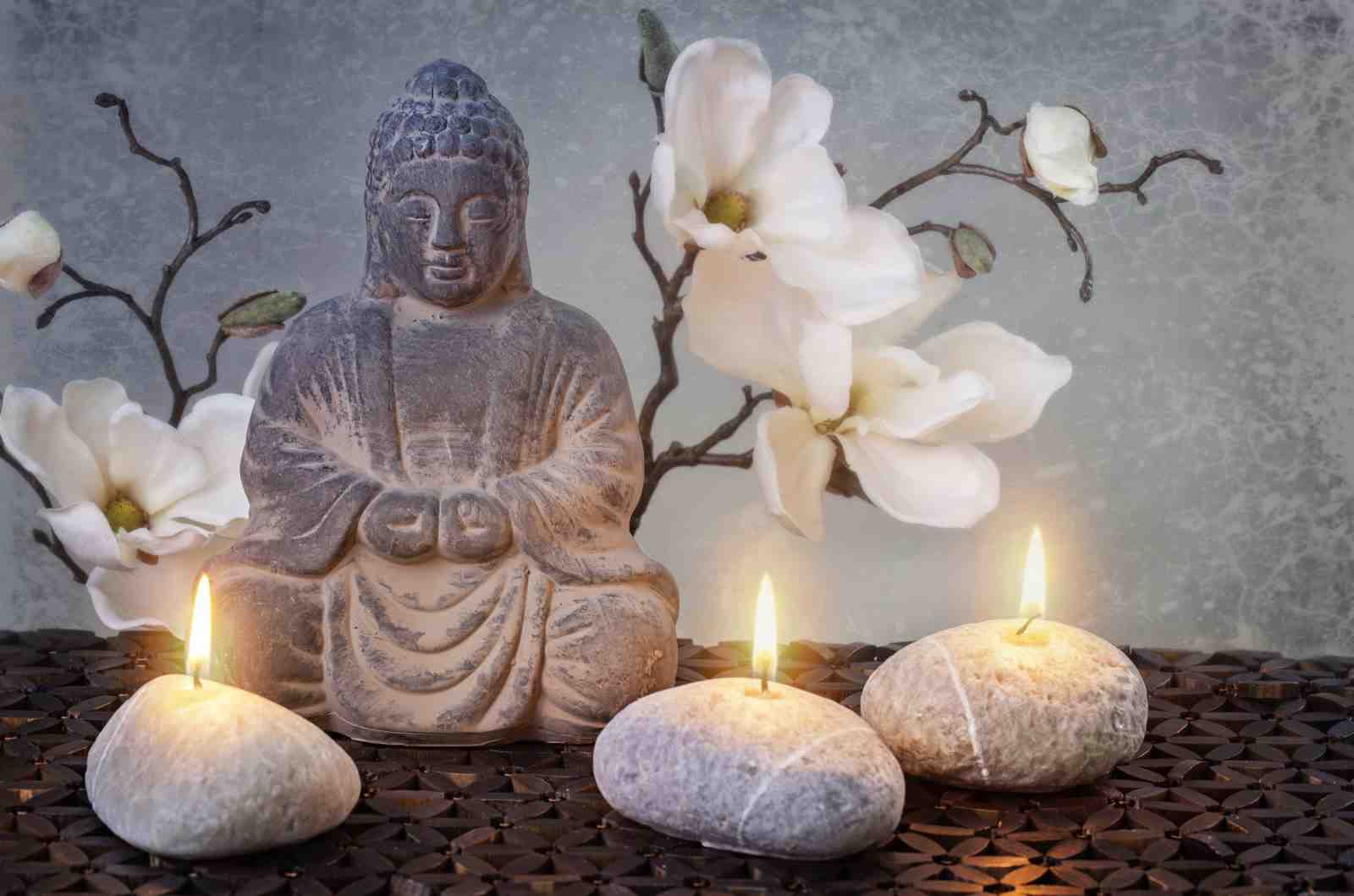 Serene Buddha & Magnolia Zen Wall Art