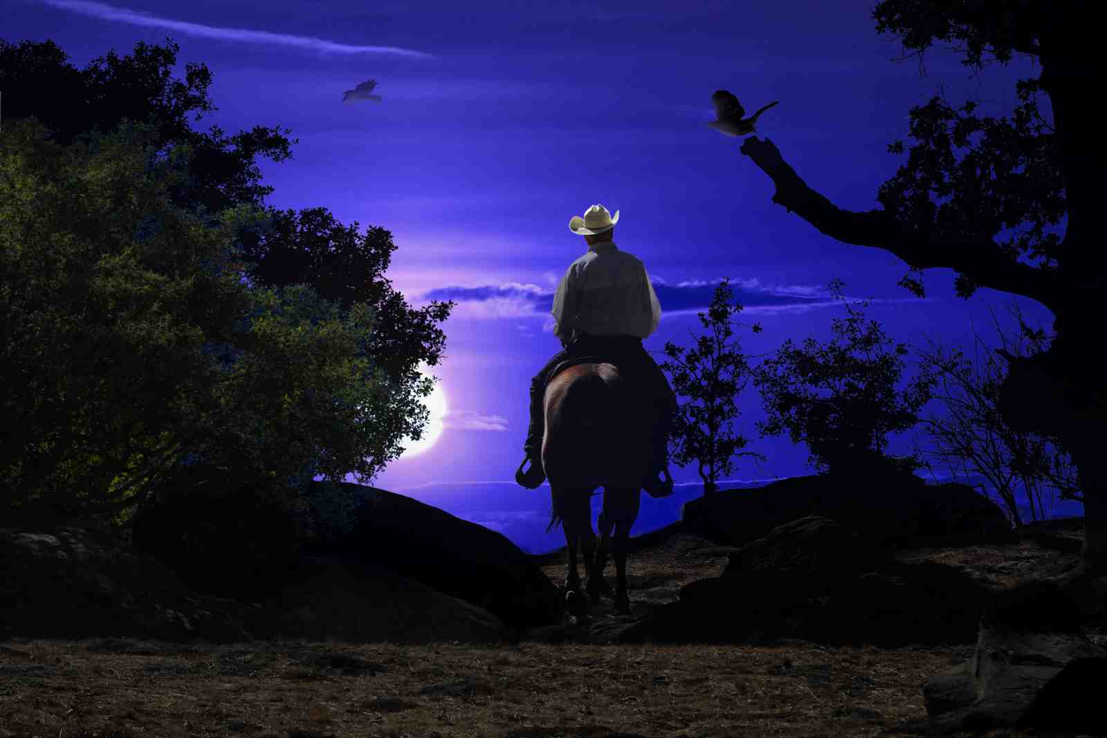 Lone Cowboy Moonlit Ride Wall Art