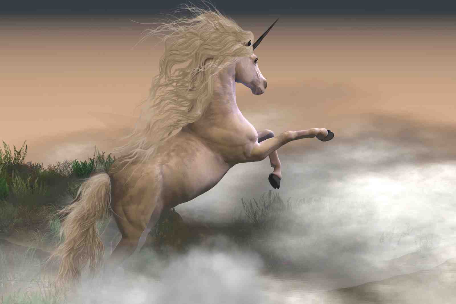 Majestic Unicorn Rearing Up Wall Art