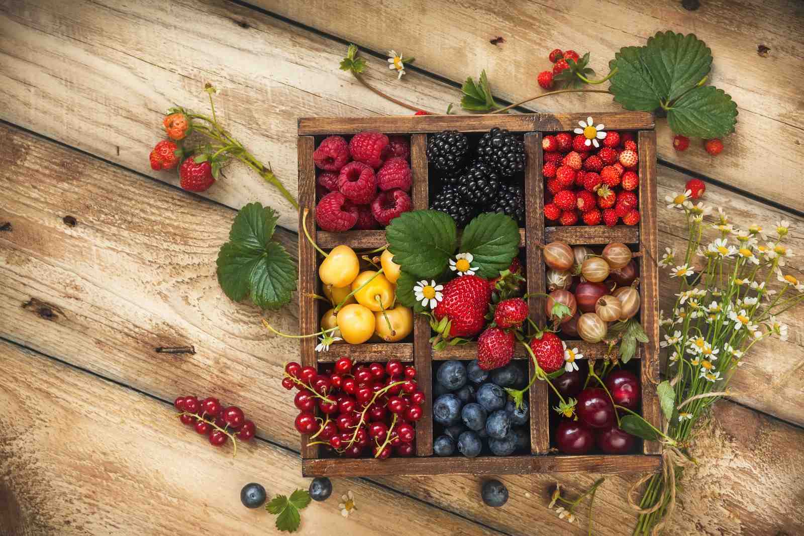 Fresh Berries & Cherries Rustic Kitchen Wall Art