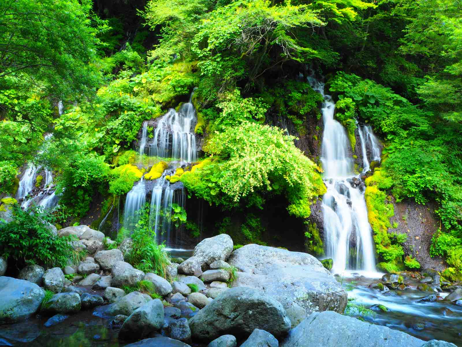 Lush Japanese Waterfall Serenity Wall Art
