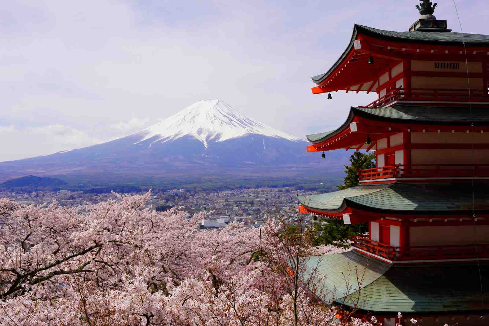 Serene Fuji & Pagoda Cherry Blossom Wall Art