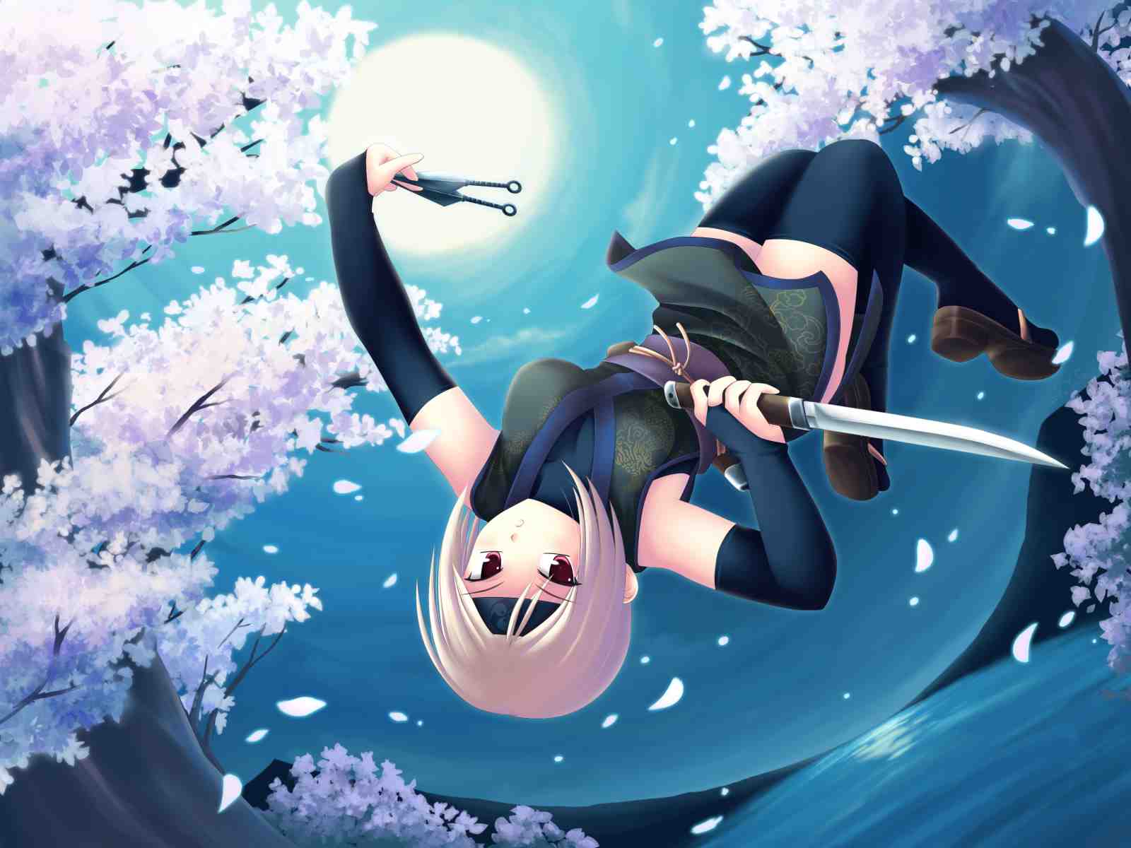 Anime Ninja Cherry Blossom Wall Art