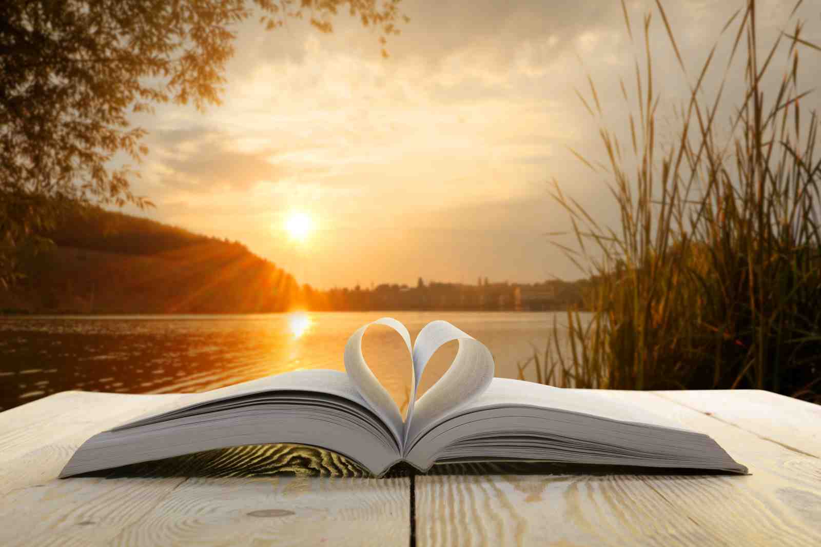 Love Story Sunset Book Wall Art Art