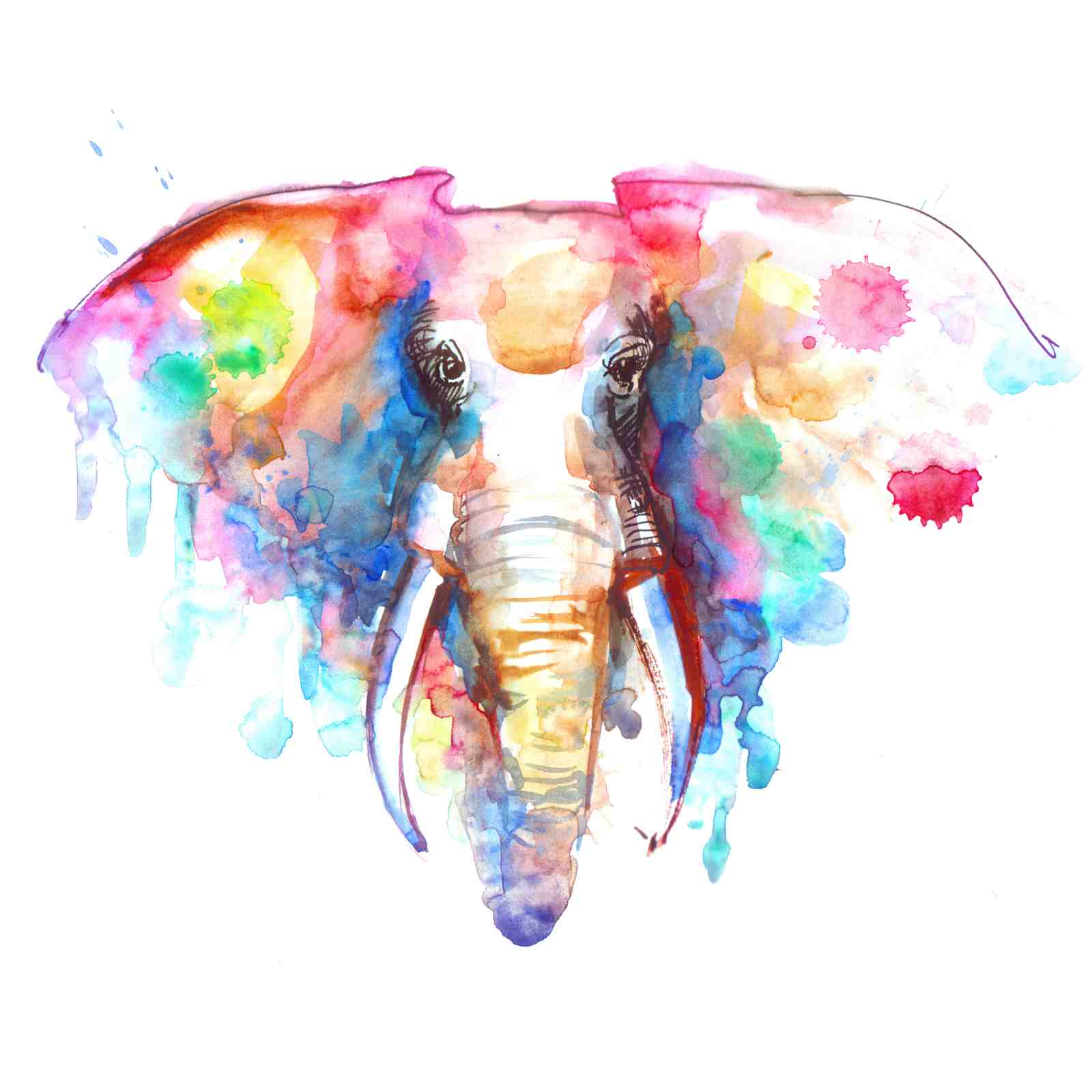Vibrant Watercolor Elephant Art Wall Art
