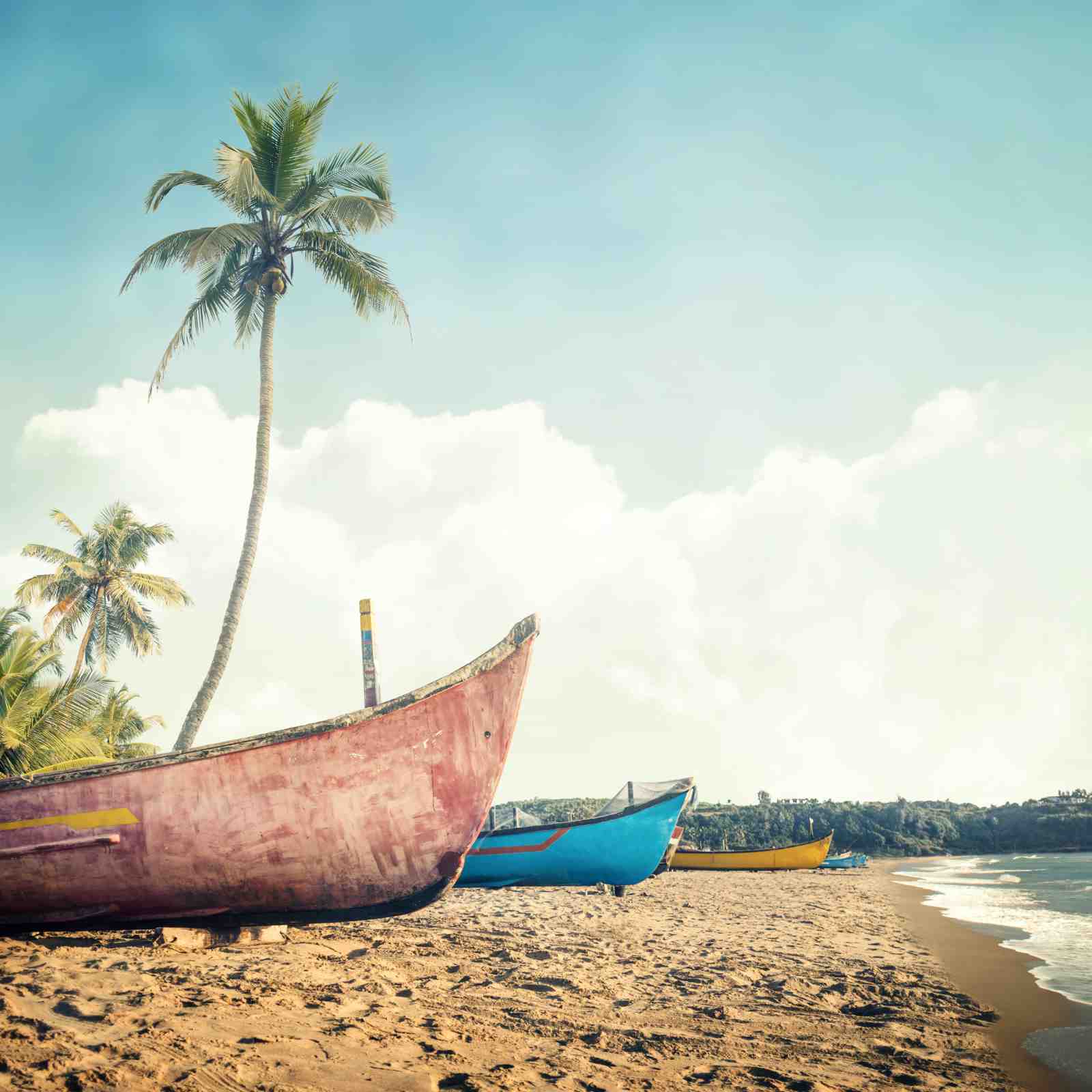 Tropical Beach Boats and Palm Trees Wall Art
