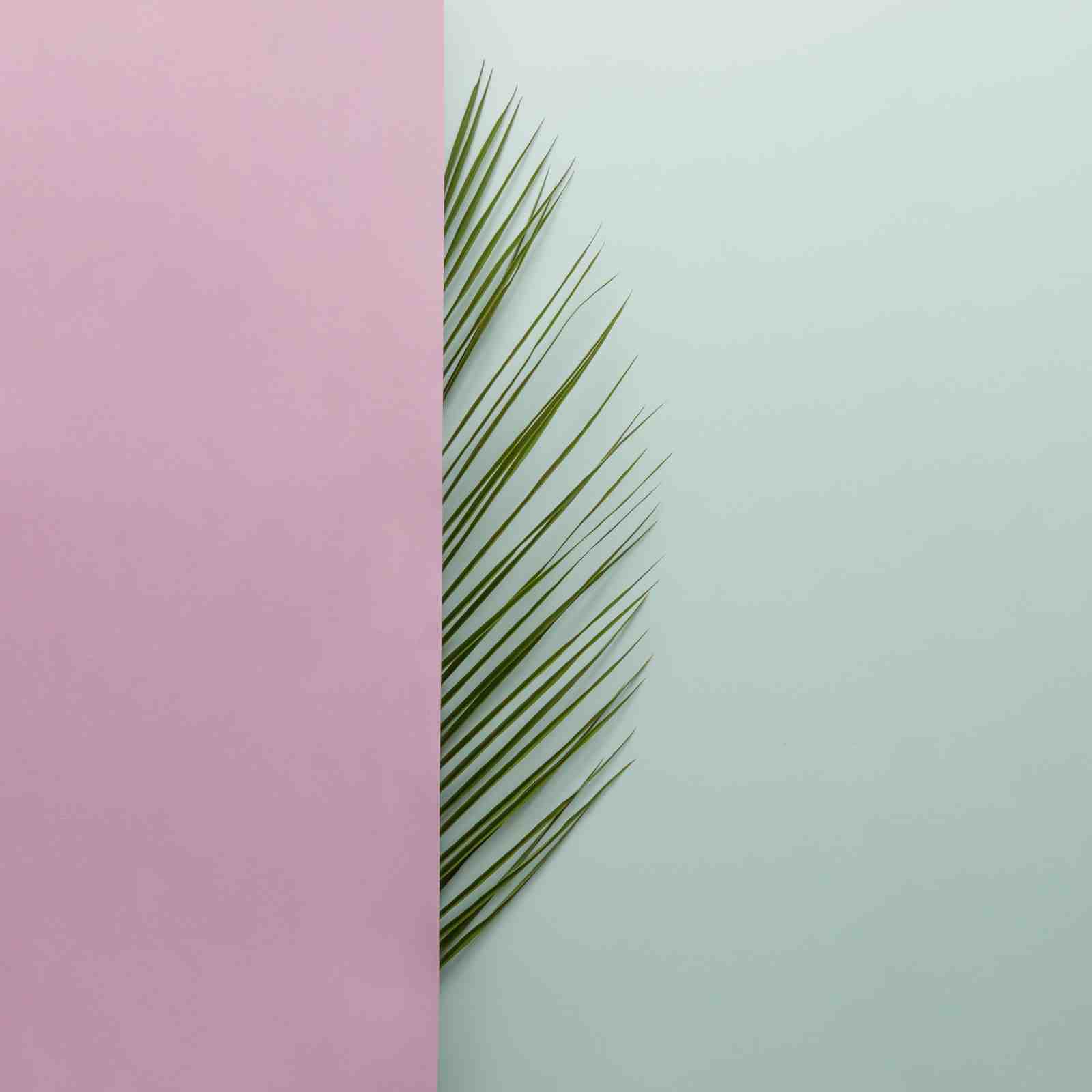 Minimalist Palm Frond Pastel Wall Art