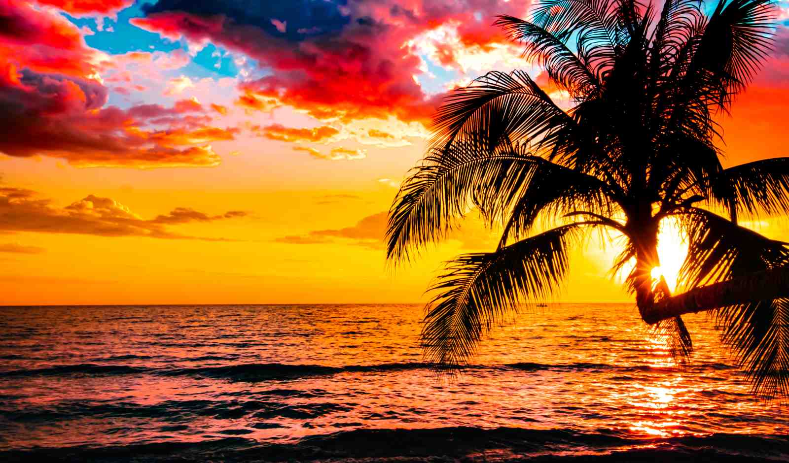 Vibrant Tropical Sunset Palm Tree Wall Art
