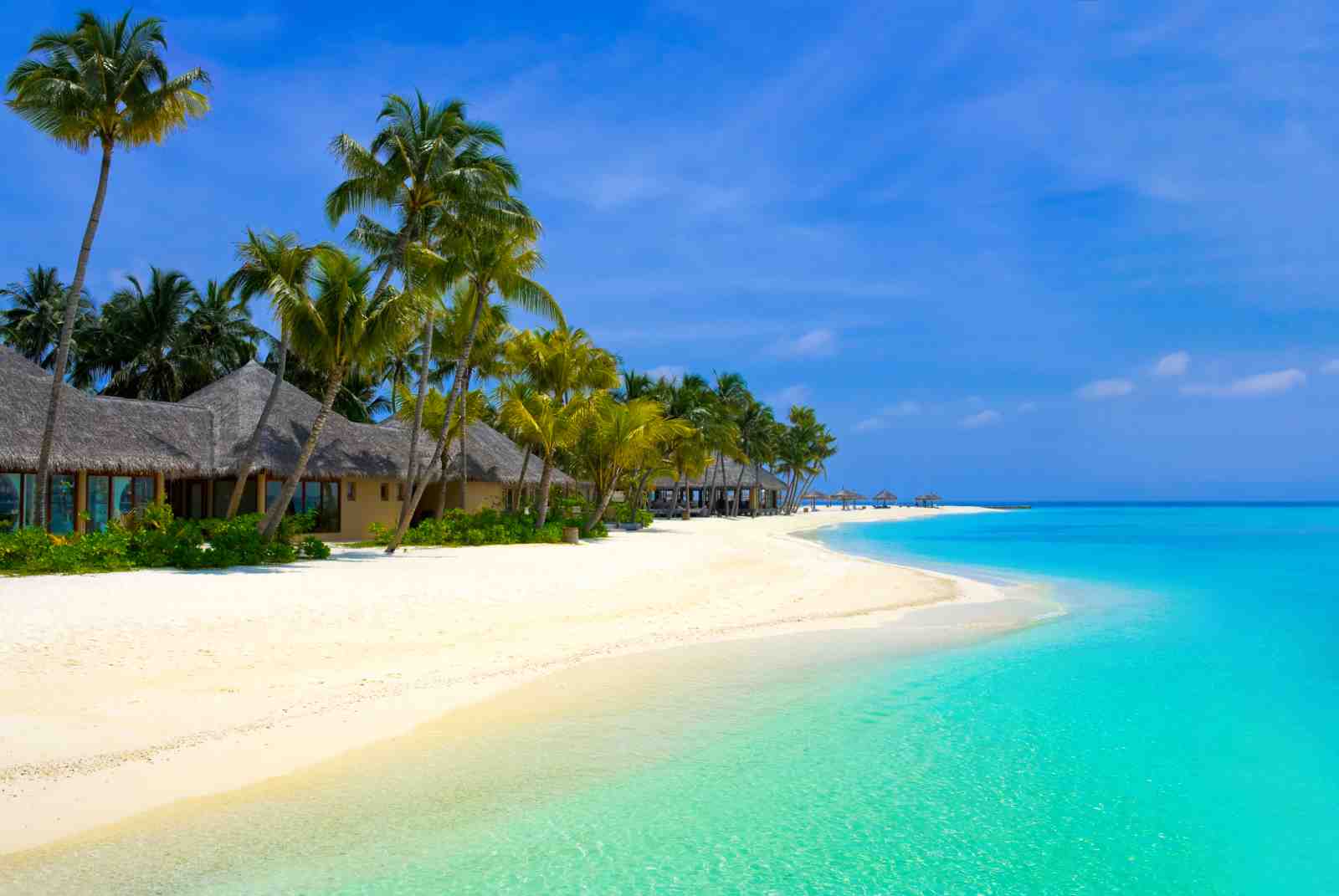 Tropical Paradise Beach Landscape Wall Art