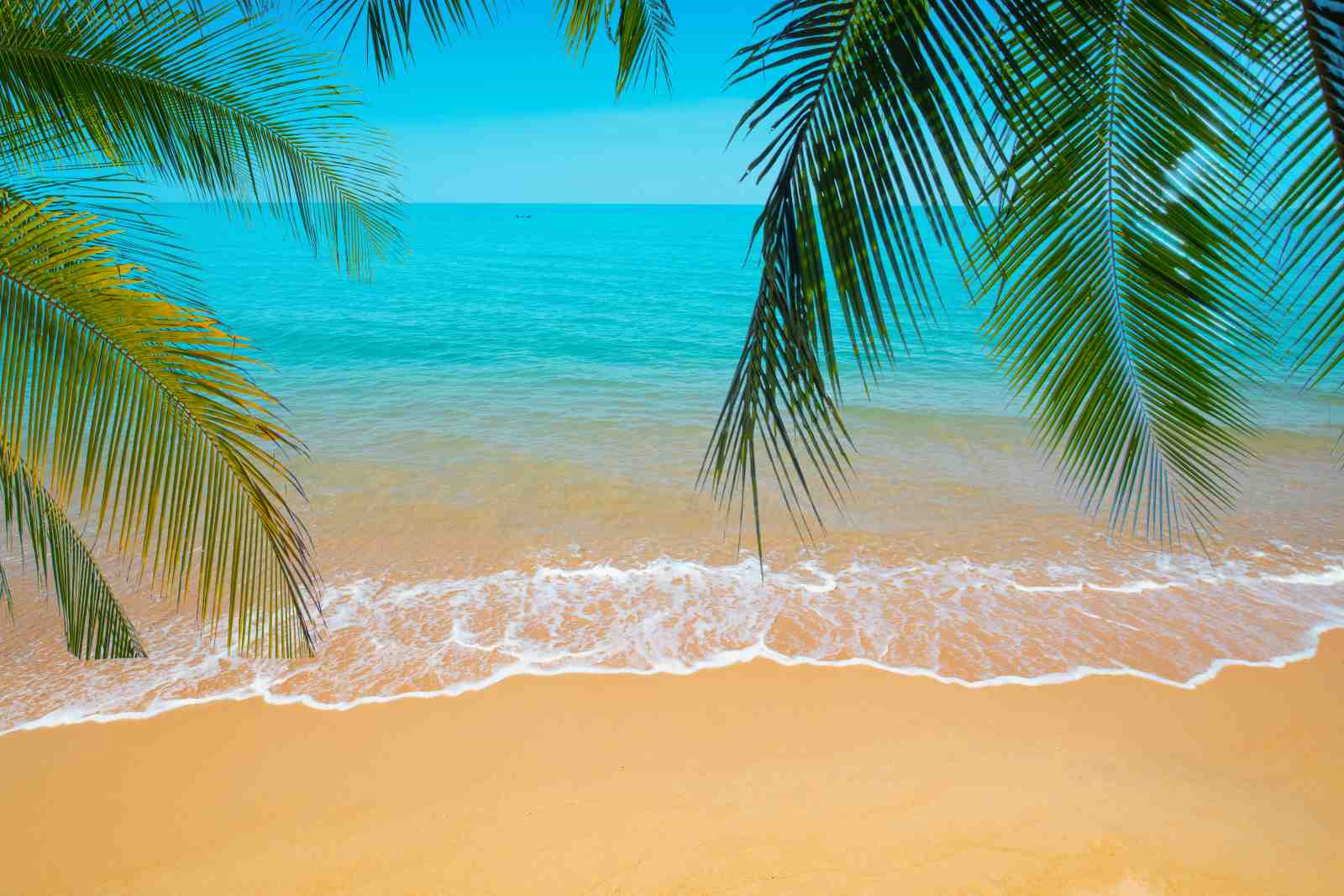 Tropical Beach Paradise Palm Trees Wall Art