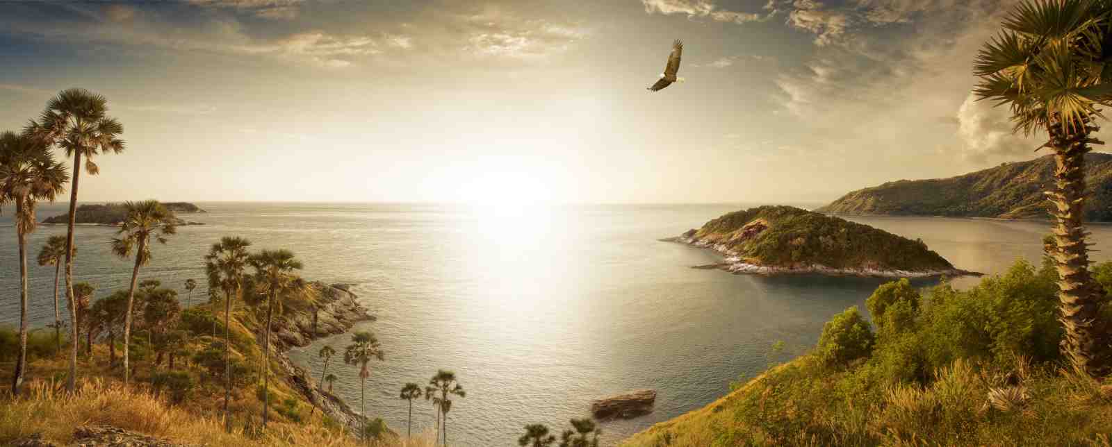 Tropical Island Eagle Sunset Wall Art