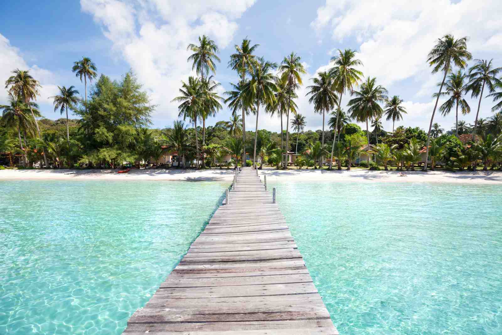 Tranquil Tropical Pier Paradise Wall Art