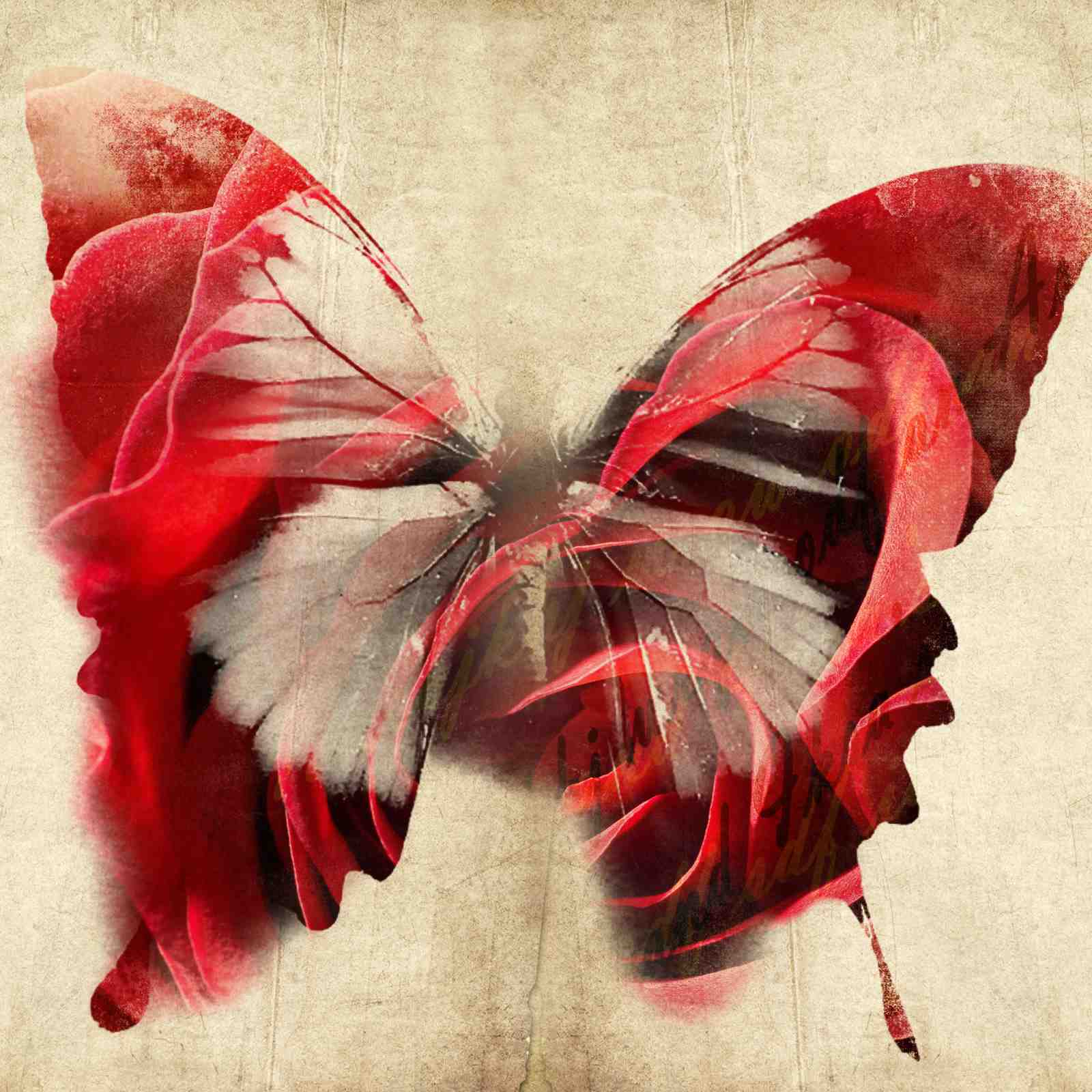 Crimson Bloom Butterfly Wall Art Wall Art