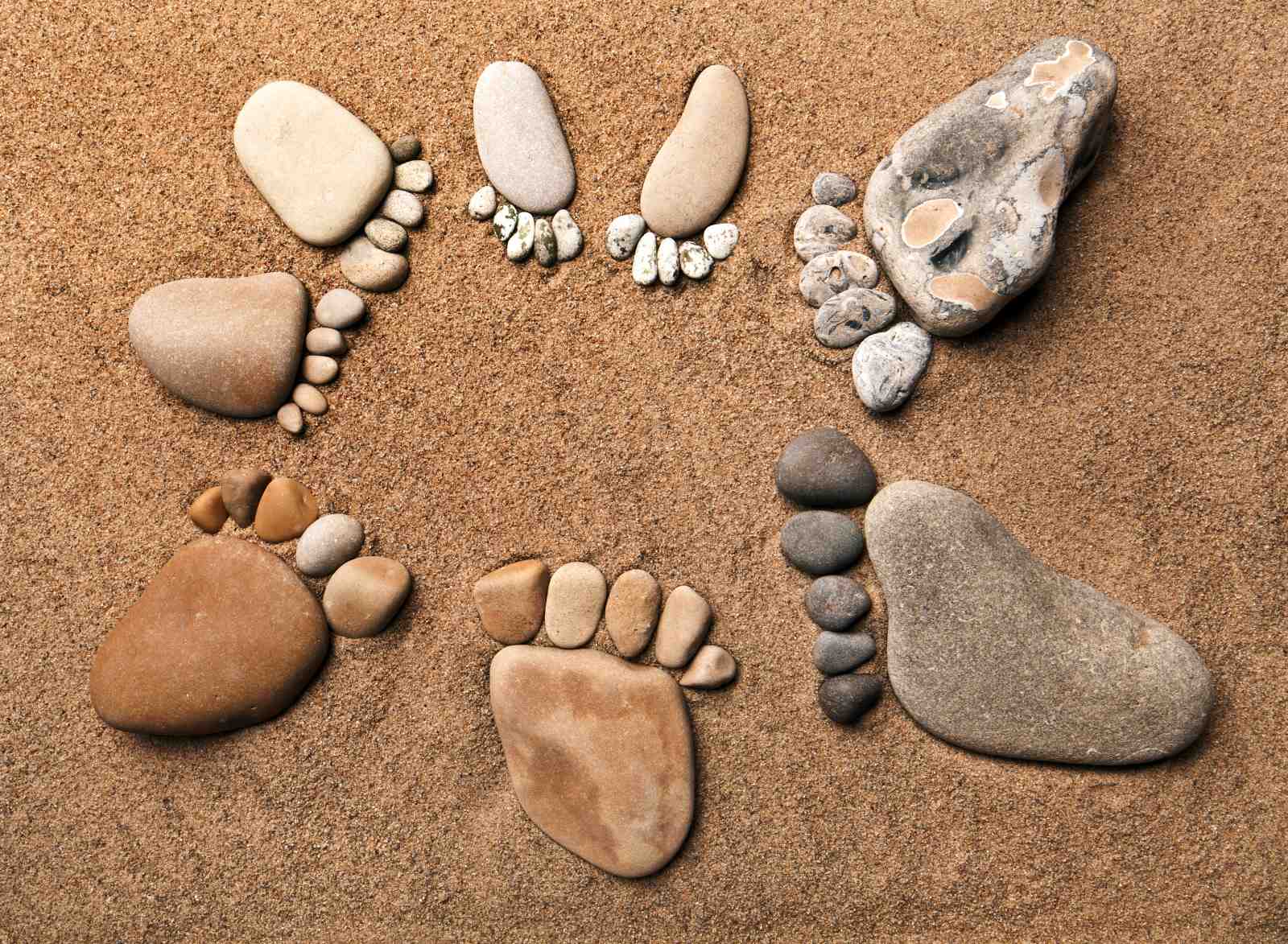 Nature's Footprints Beach Art Wall Art