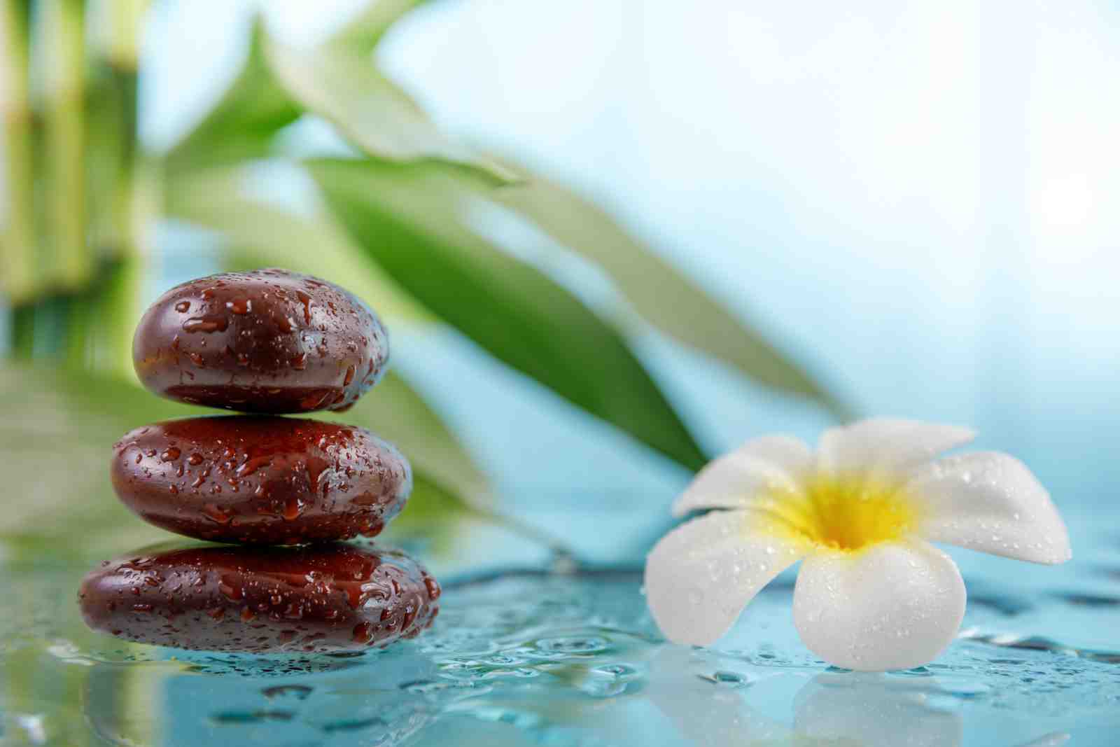 Zen Spa Stones & Flower Wall Art